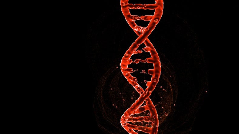 DNA strand gene editing