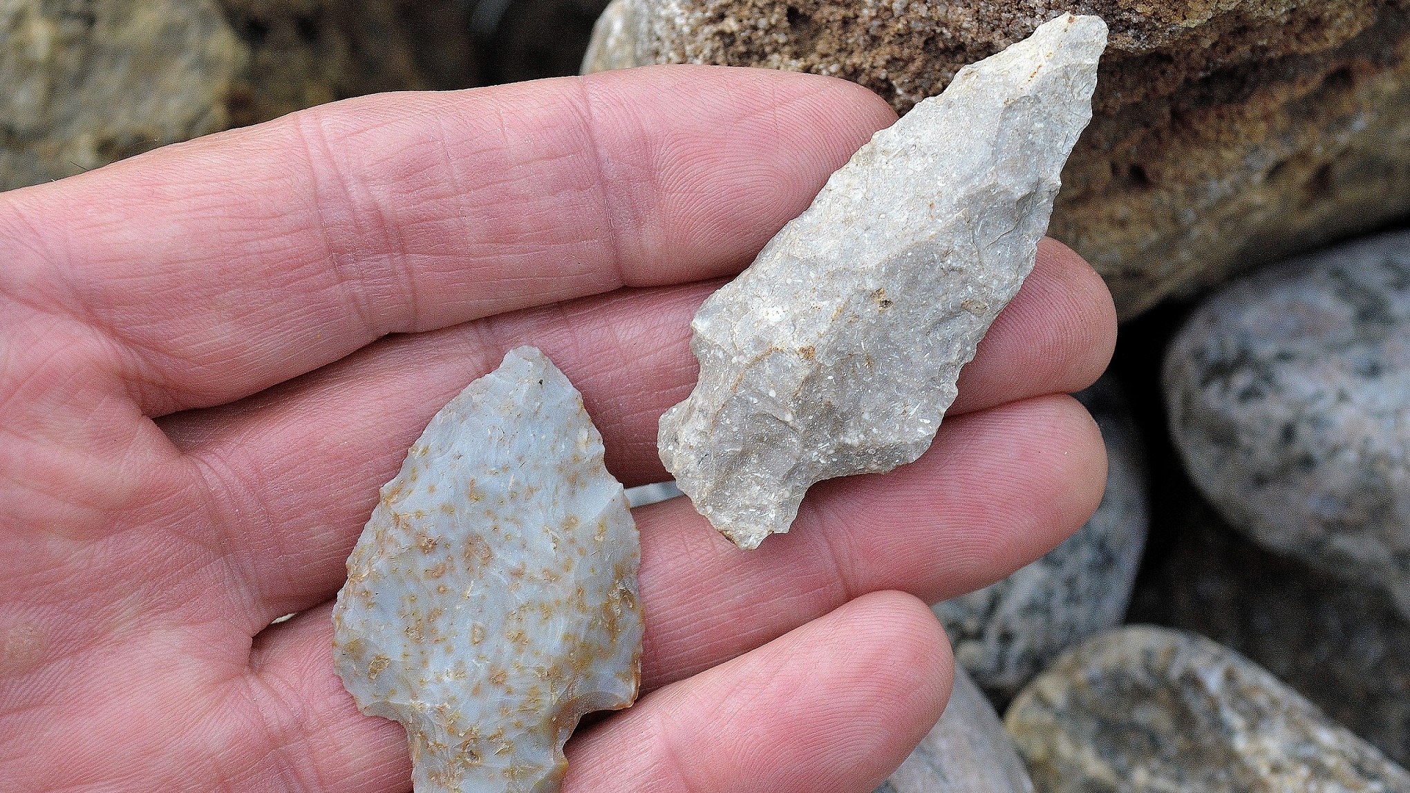 arrowhead find discover fossil