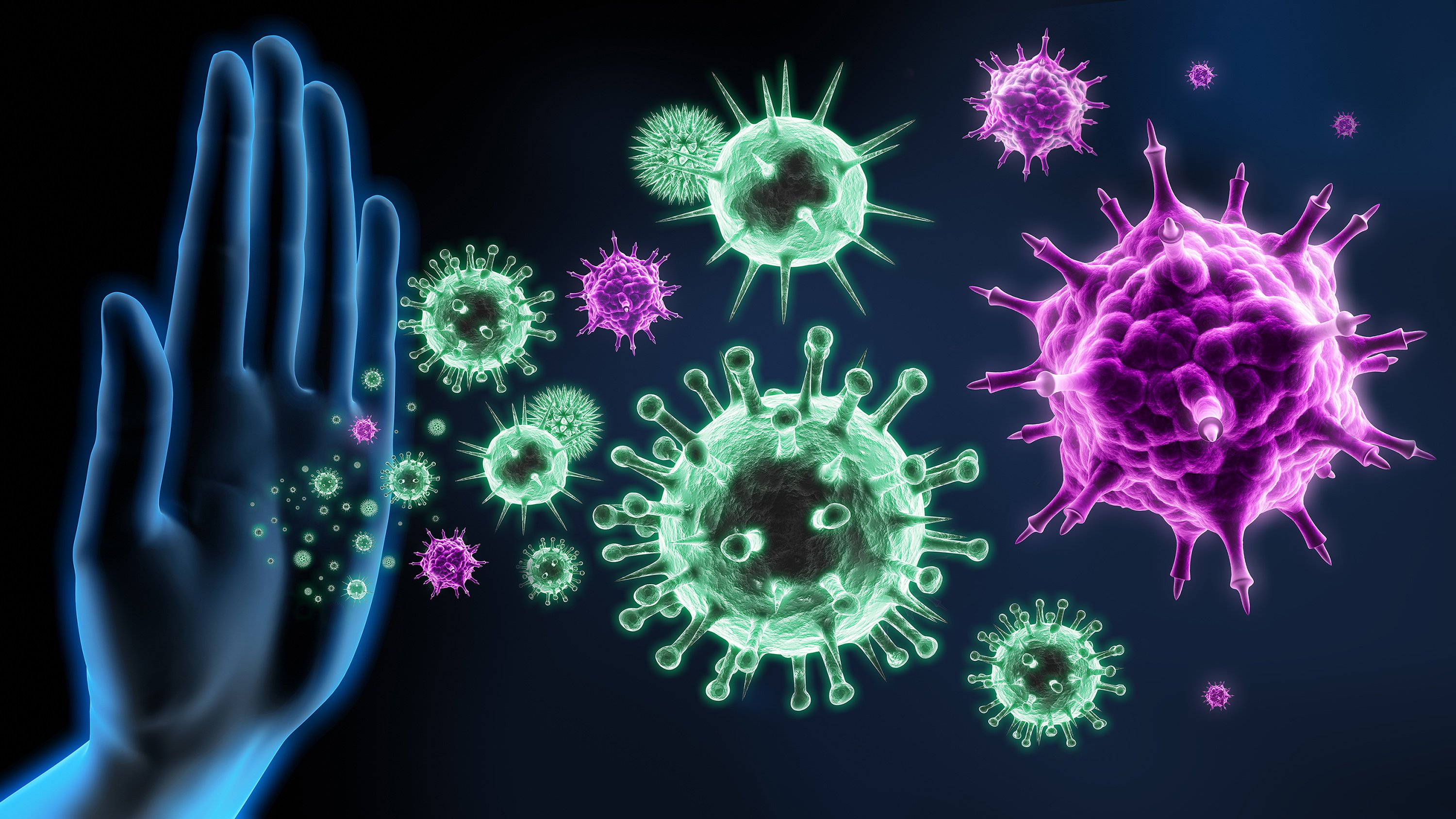 flu immune system virus influenza COVID infection