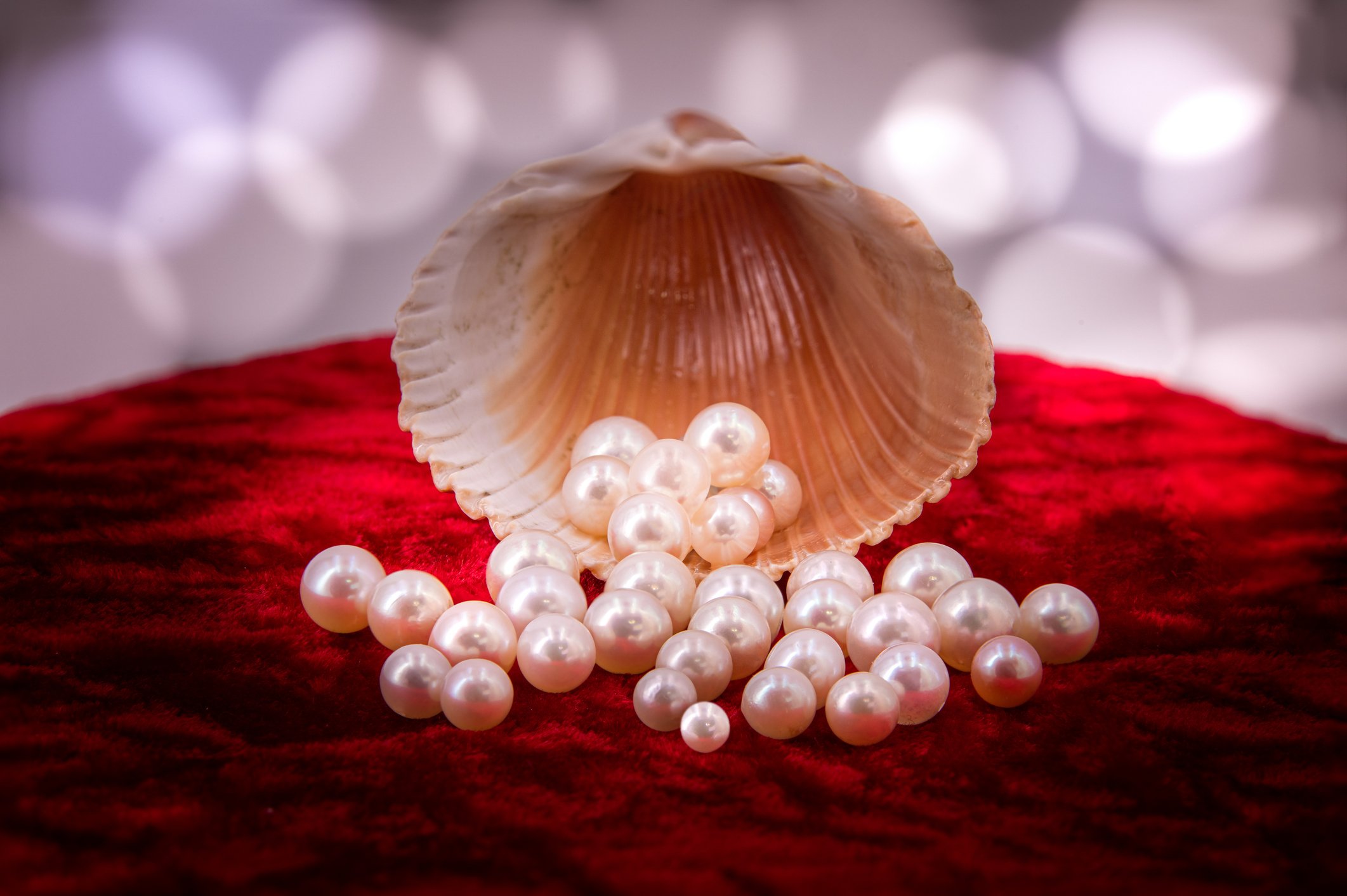 Graphic image of pearls pouring out of a shell The shell and pearls appear to rest on some red velvet texture 