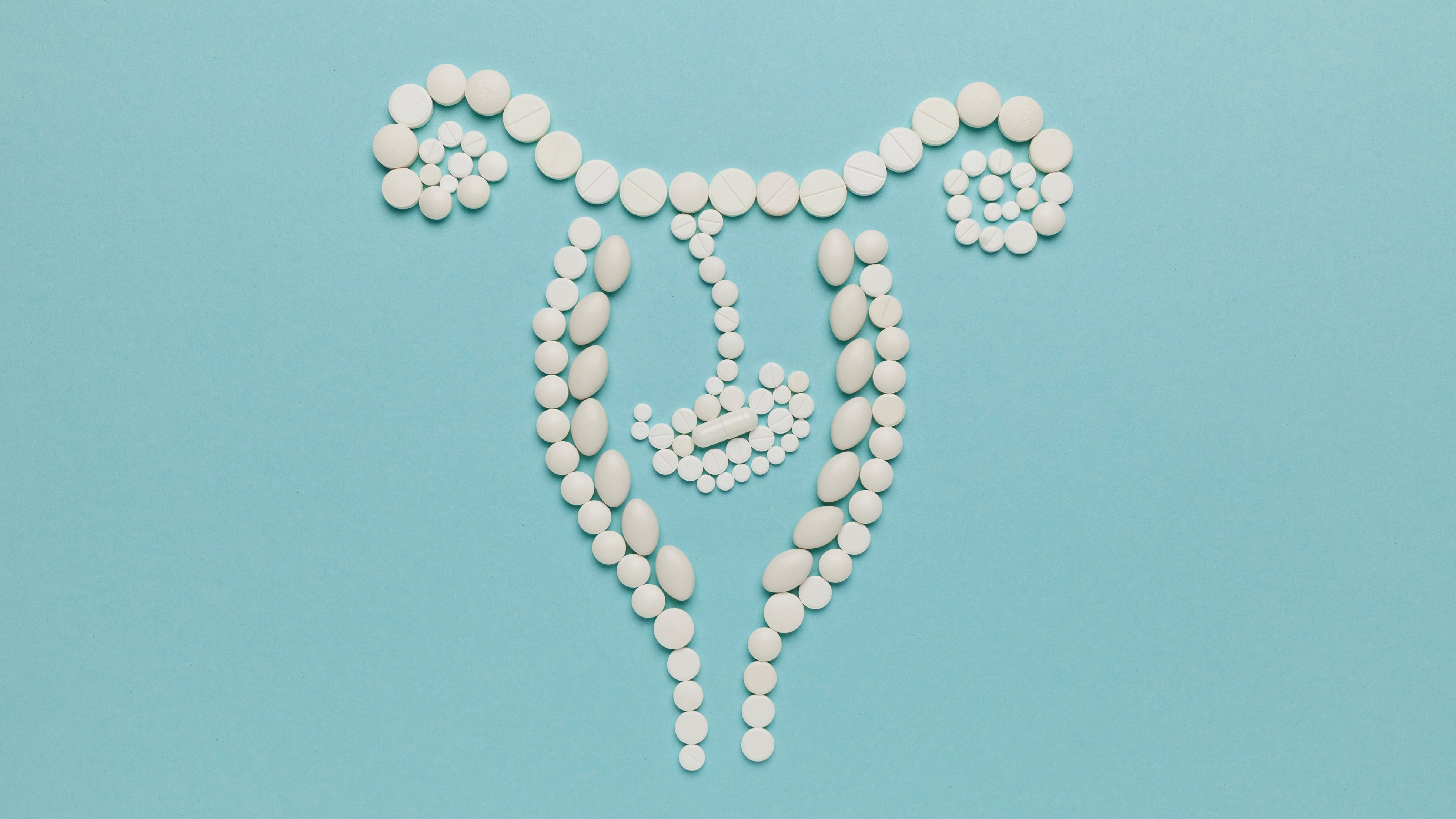 abortion uterus pregnancy pills