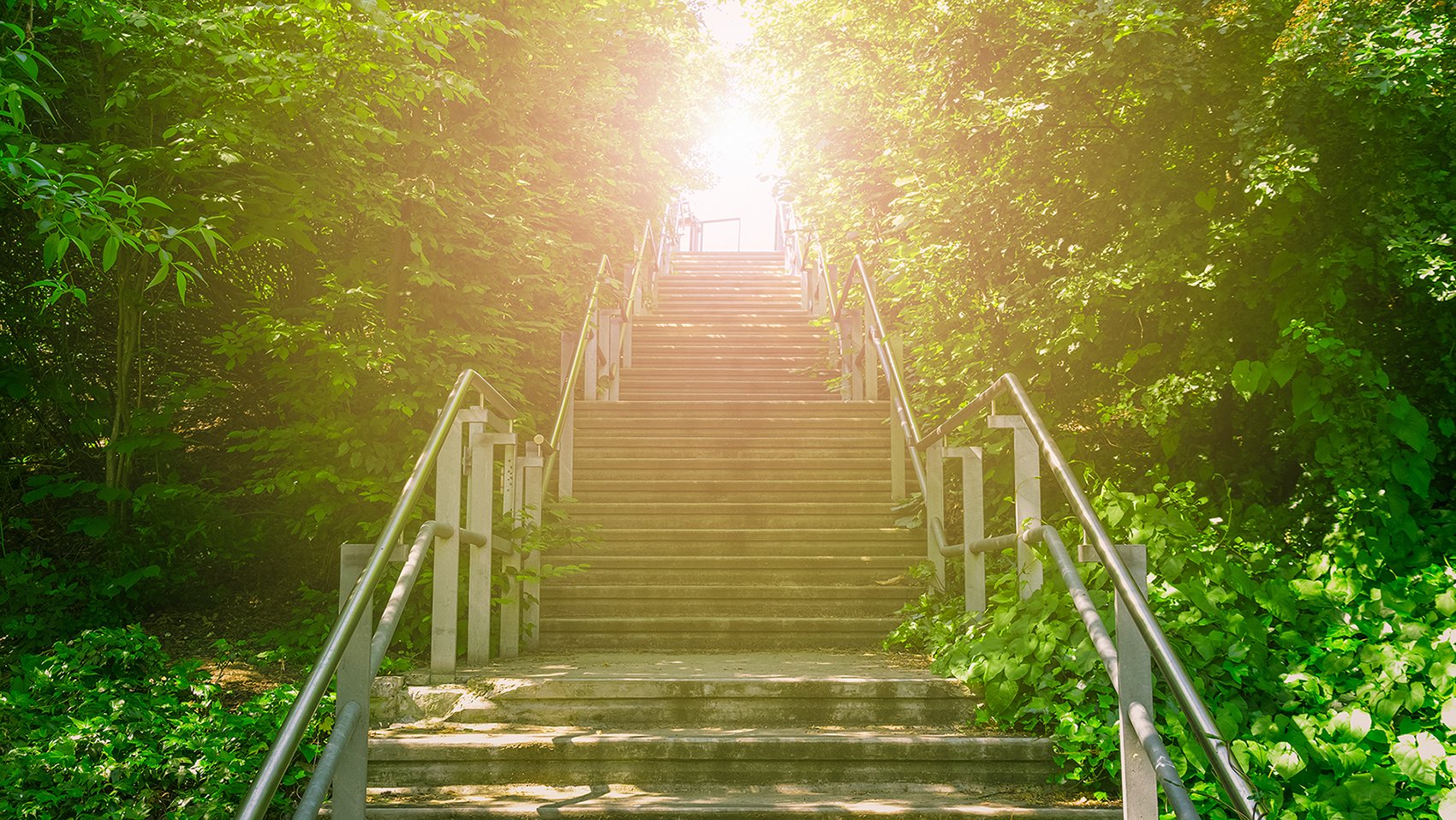 journey path light sunshine stairs climb reach