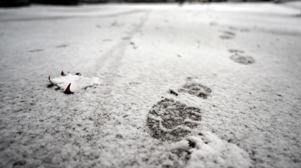 footprints light snow winter