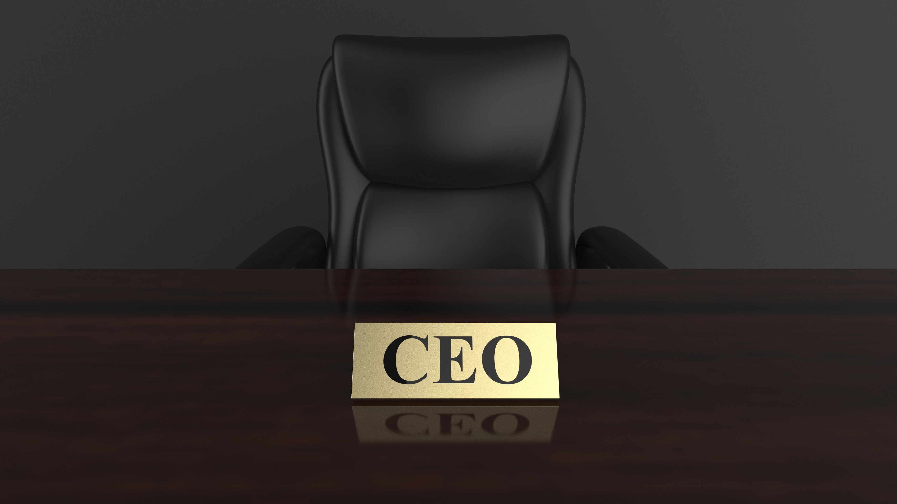CEO chair executive leadership