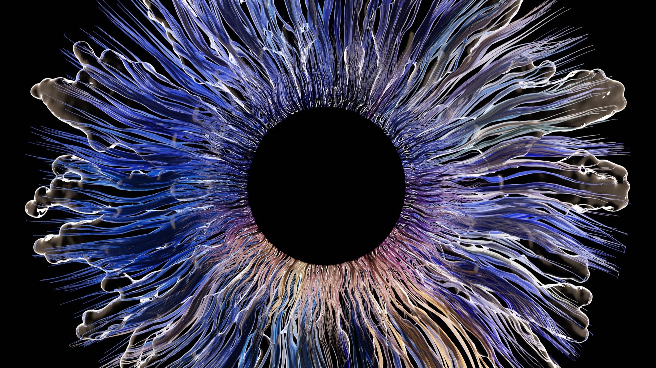 iris eye eyeball eye art