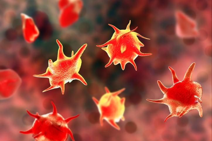 An artists depiction of activated and non-activated platelets The image shows five clearly-discernable platelets which are