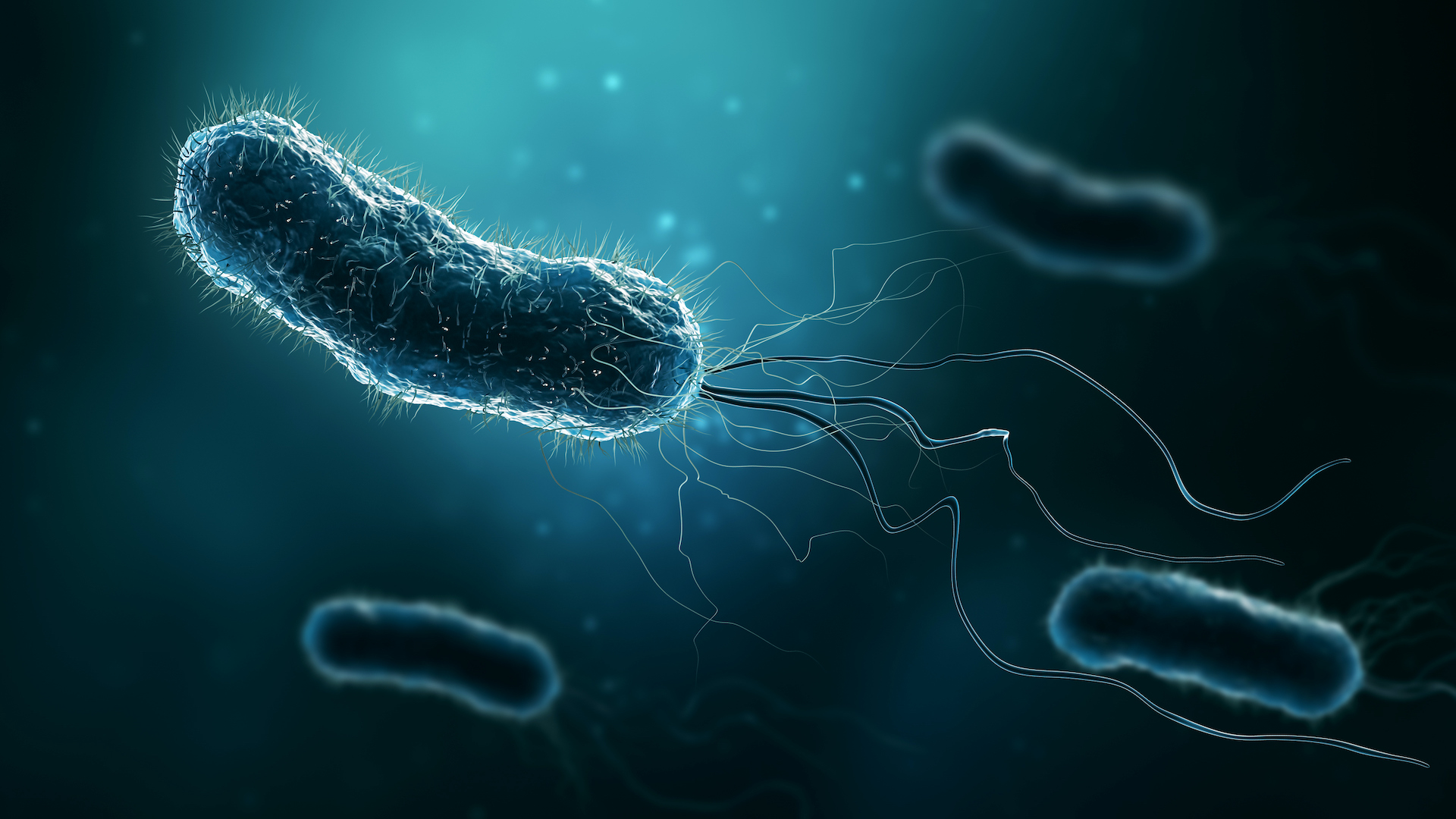 rendering of bacteria