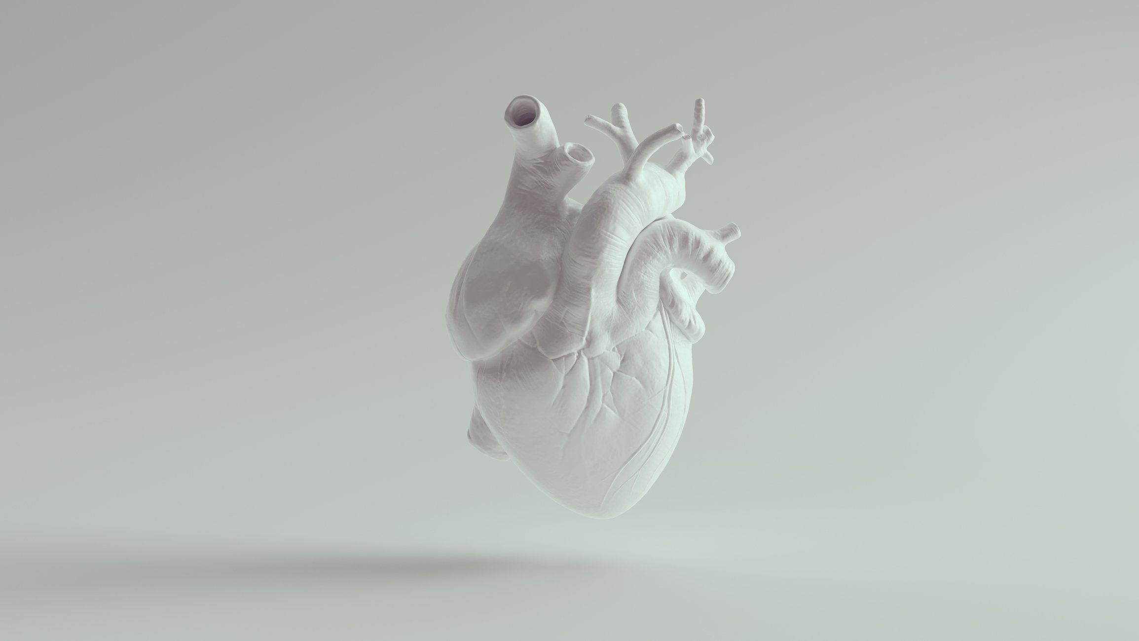 heart model heart disease