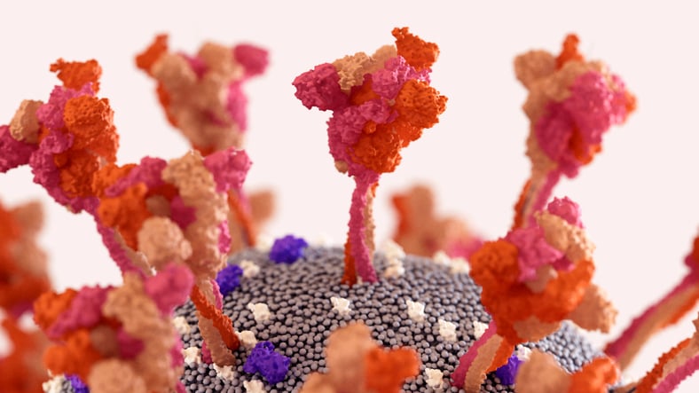 The spike protein on the SARS-CoV-2 virus up close 