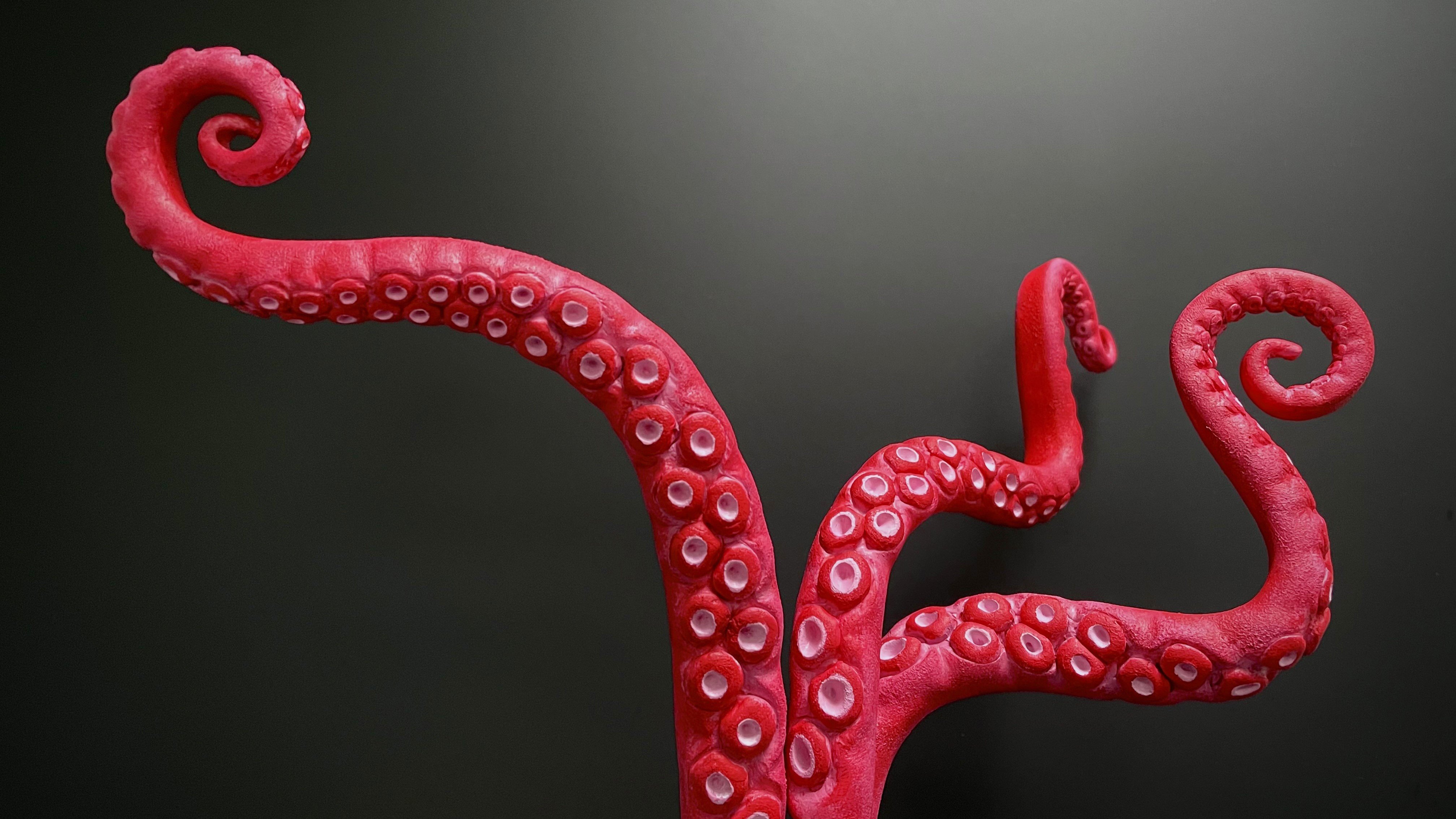 tentacles octopus squid ocean creature