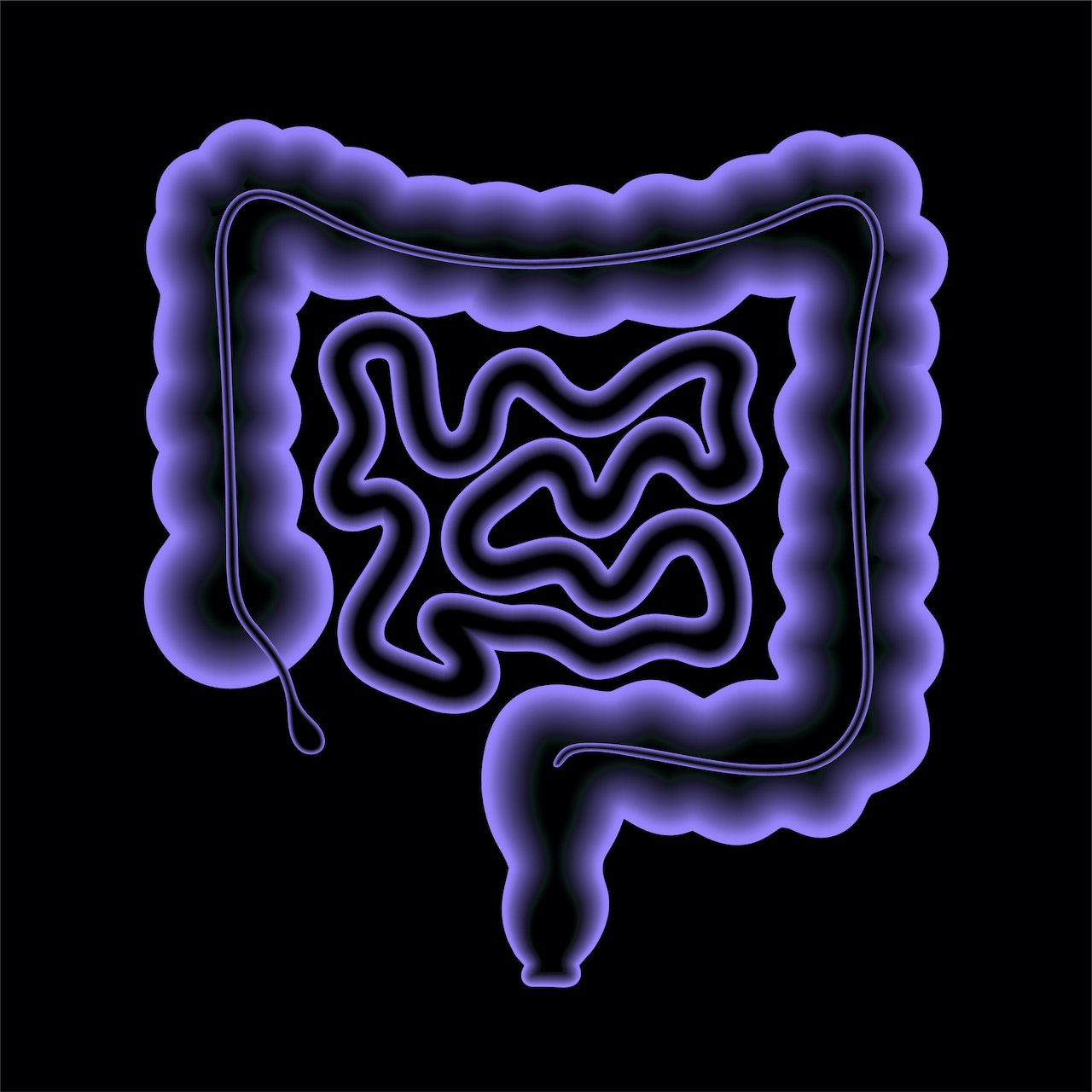 graphic of intestines