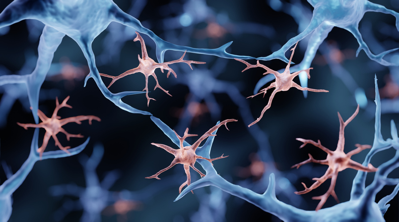 An artists depiction of microglia immune cells in the brain