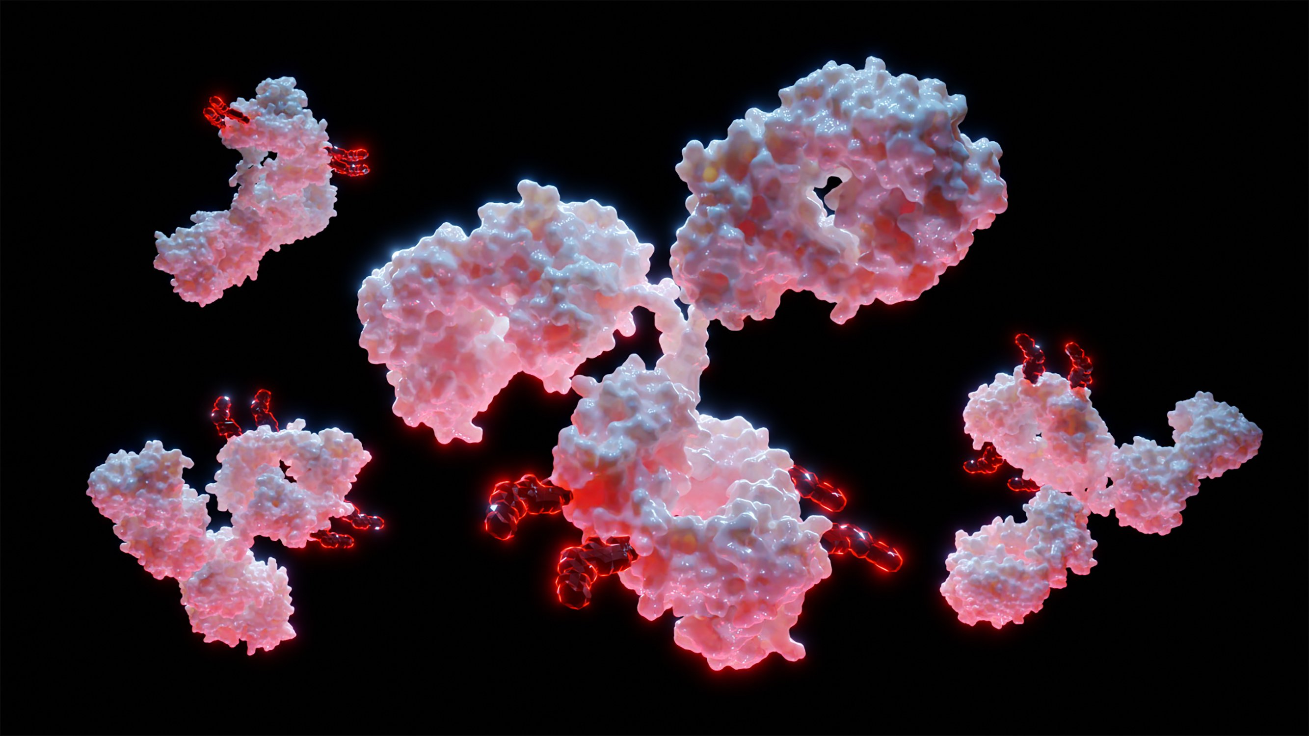 visual rendering of an antibody drug conjugate