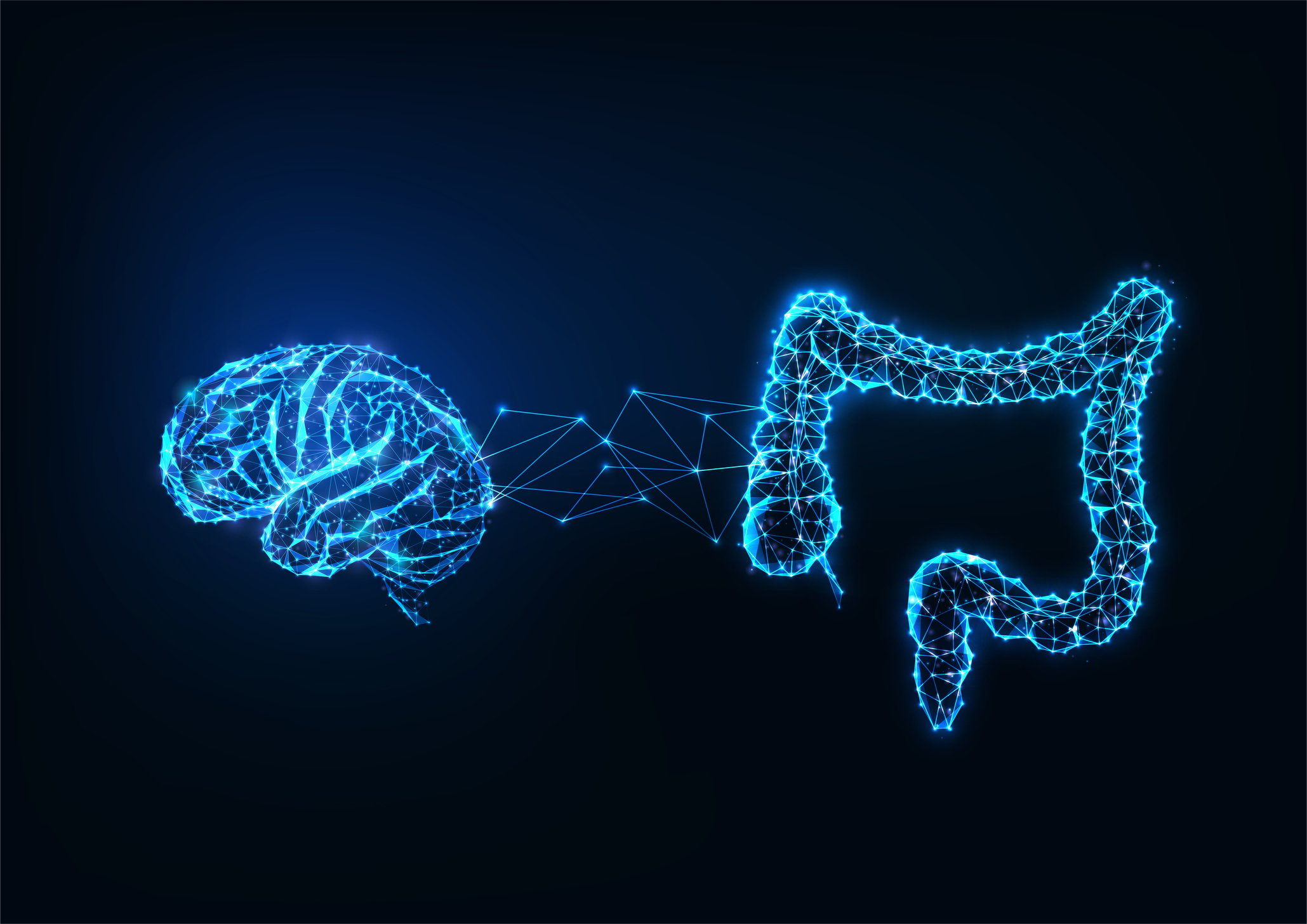 An artists rendition of the brain and the intestines in neon blue outlines connected by lines