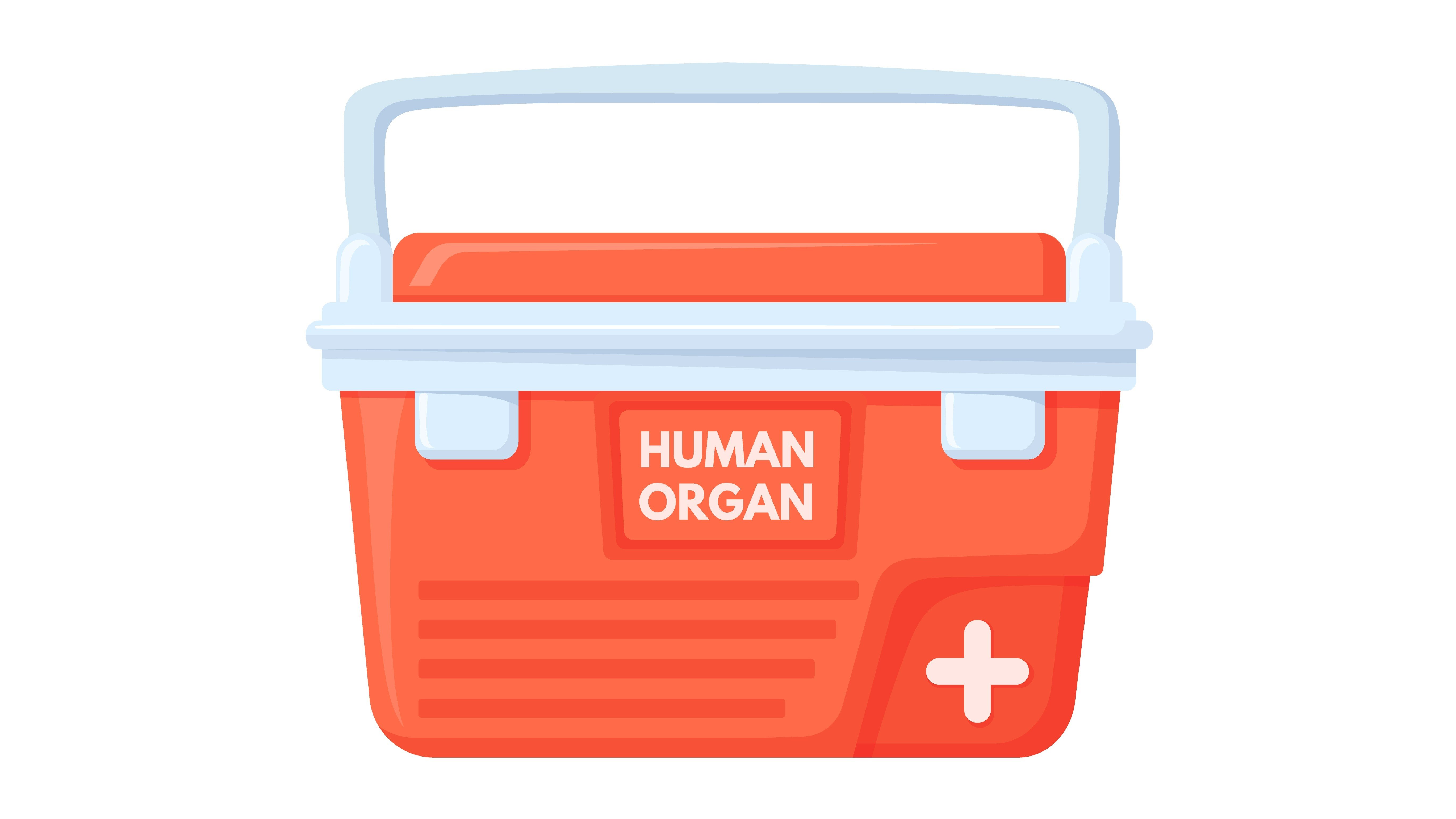 organ transplant surgery cooler organ transplantation