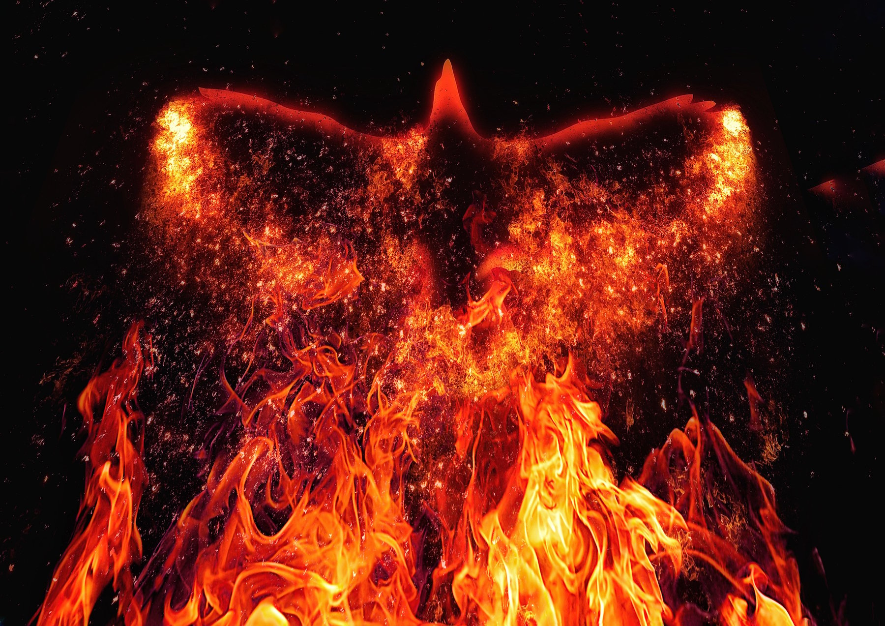 Graphic image of a phoenix rising out of flames