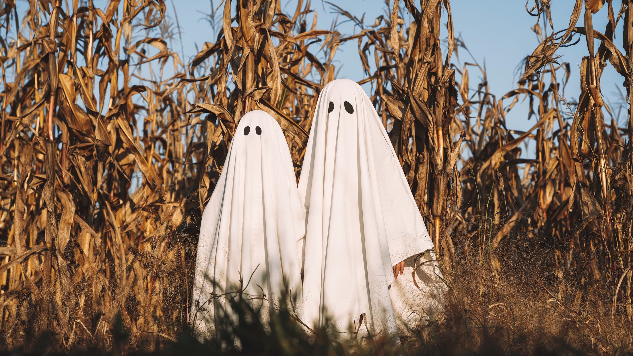 Two children in ghosts costumes walking side by side in a corn maze