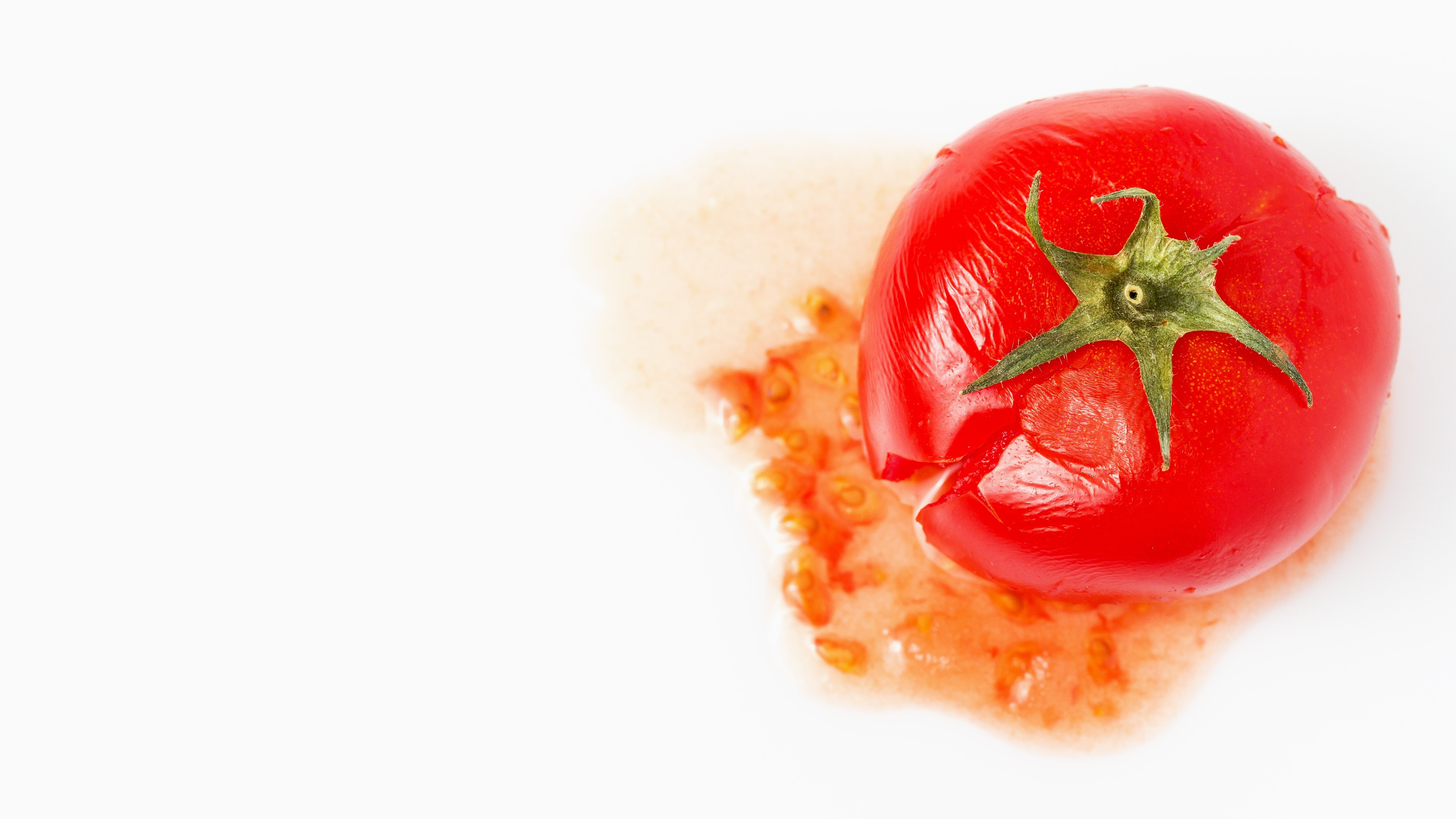 rotten tomatoes tomato tomatoes