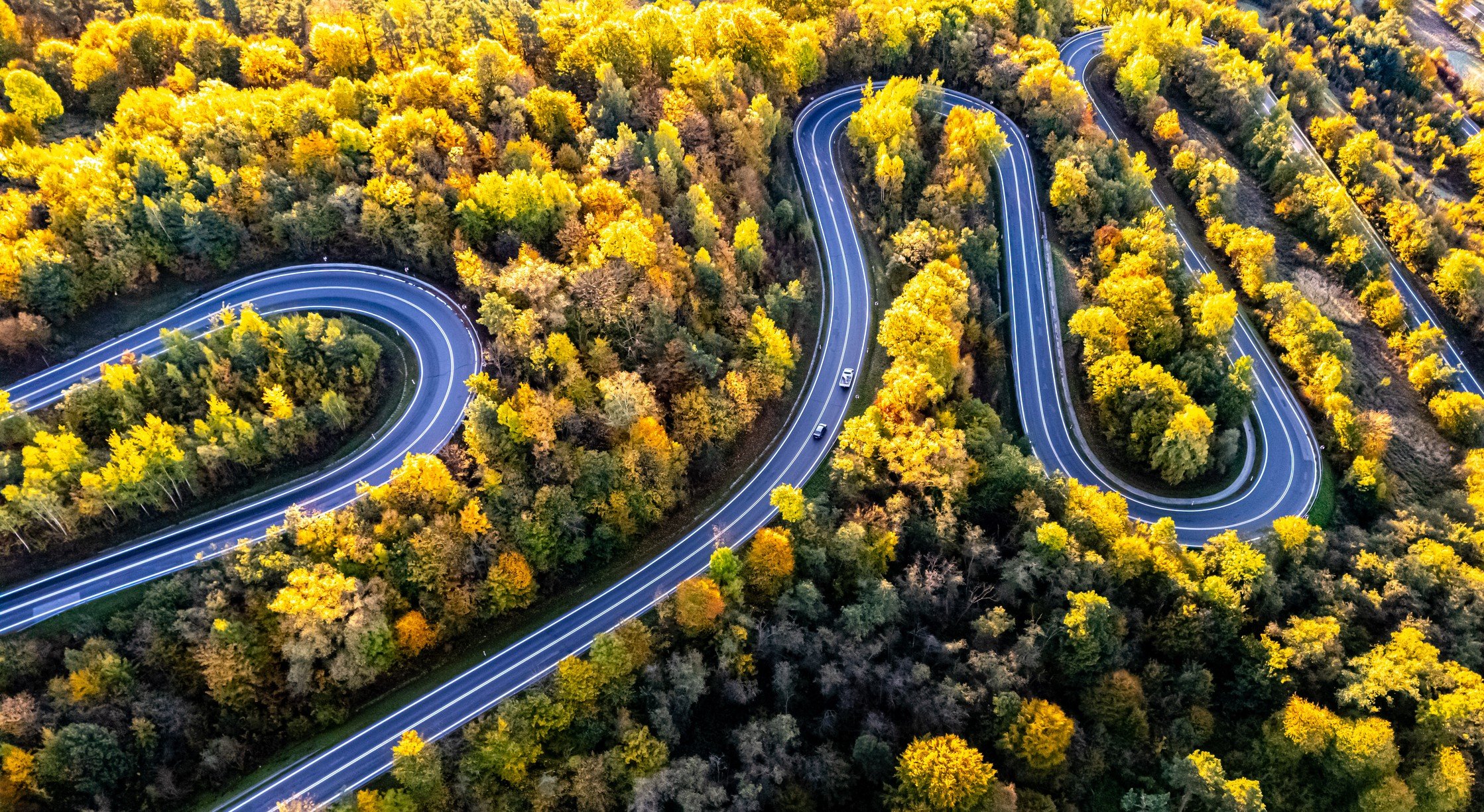 road through forest