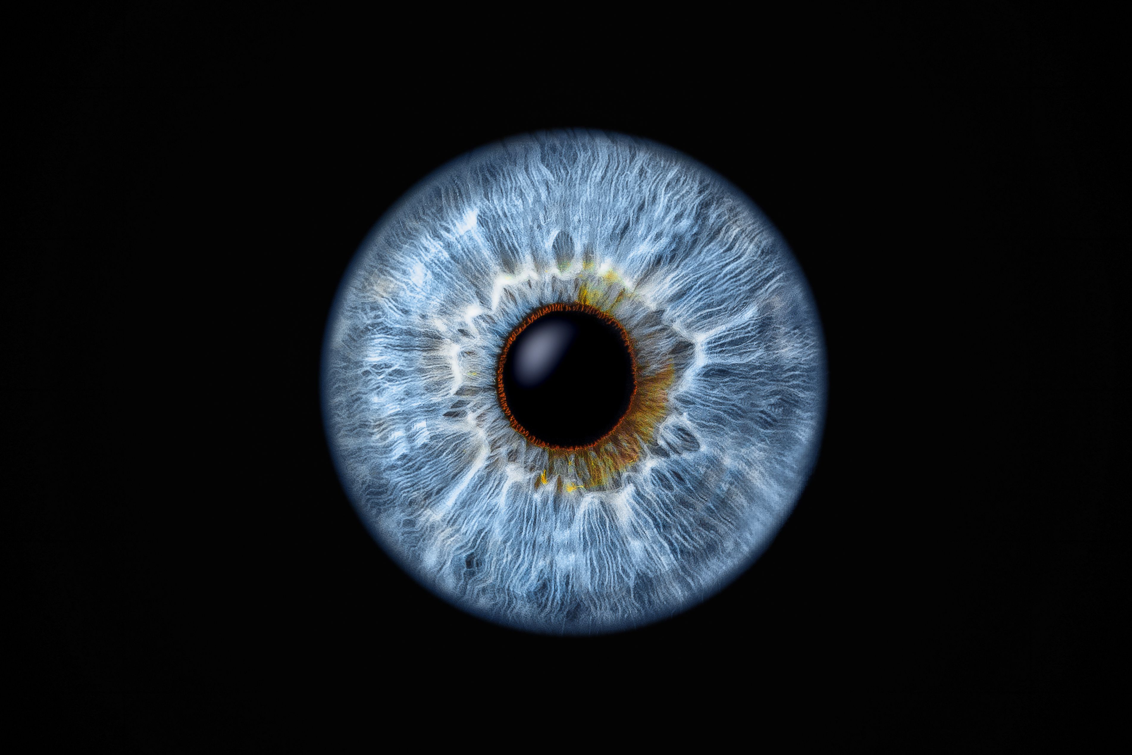 Closeup of blue eye on black background