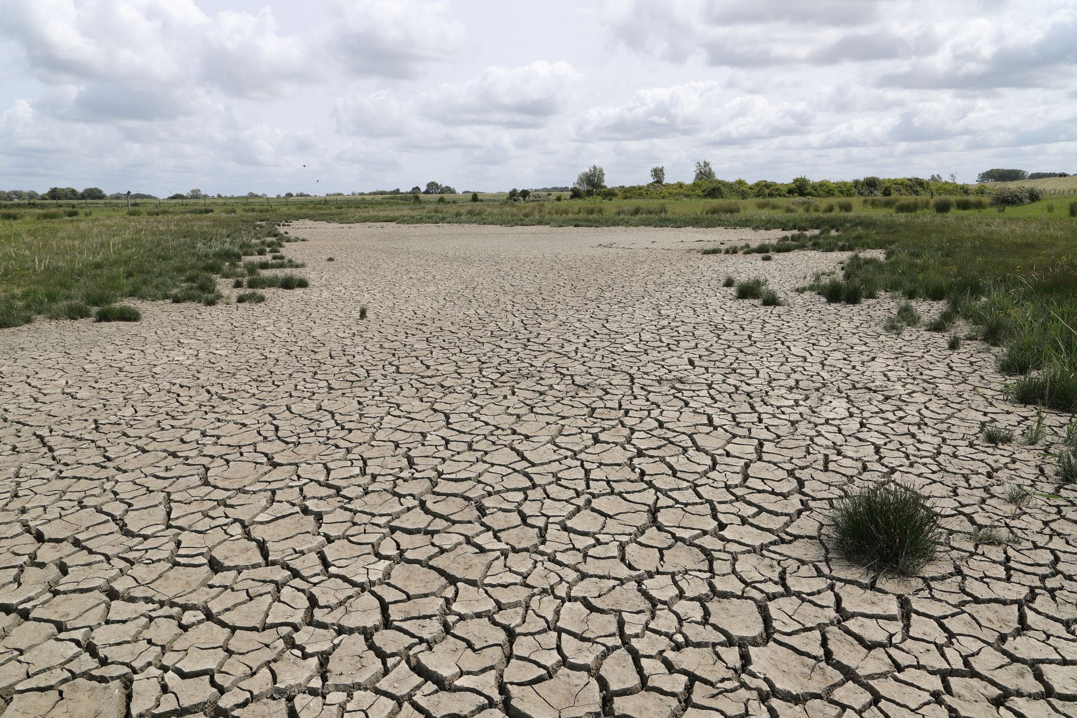 Dried up river bed