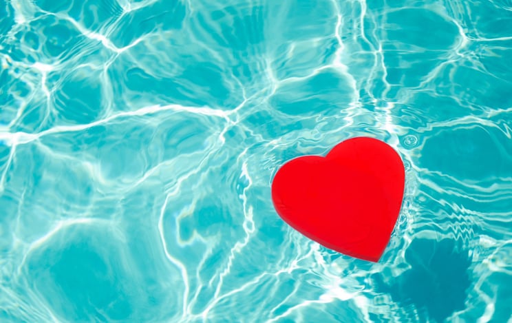 cardiovascular heart pool