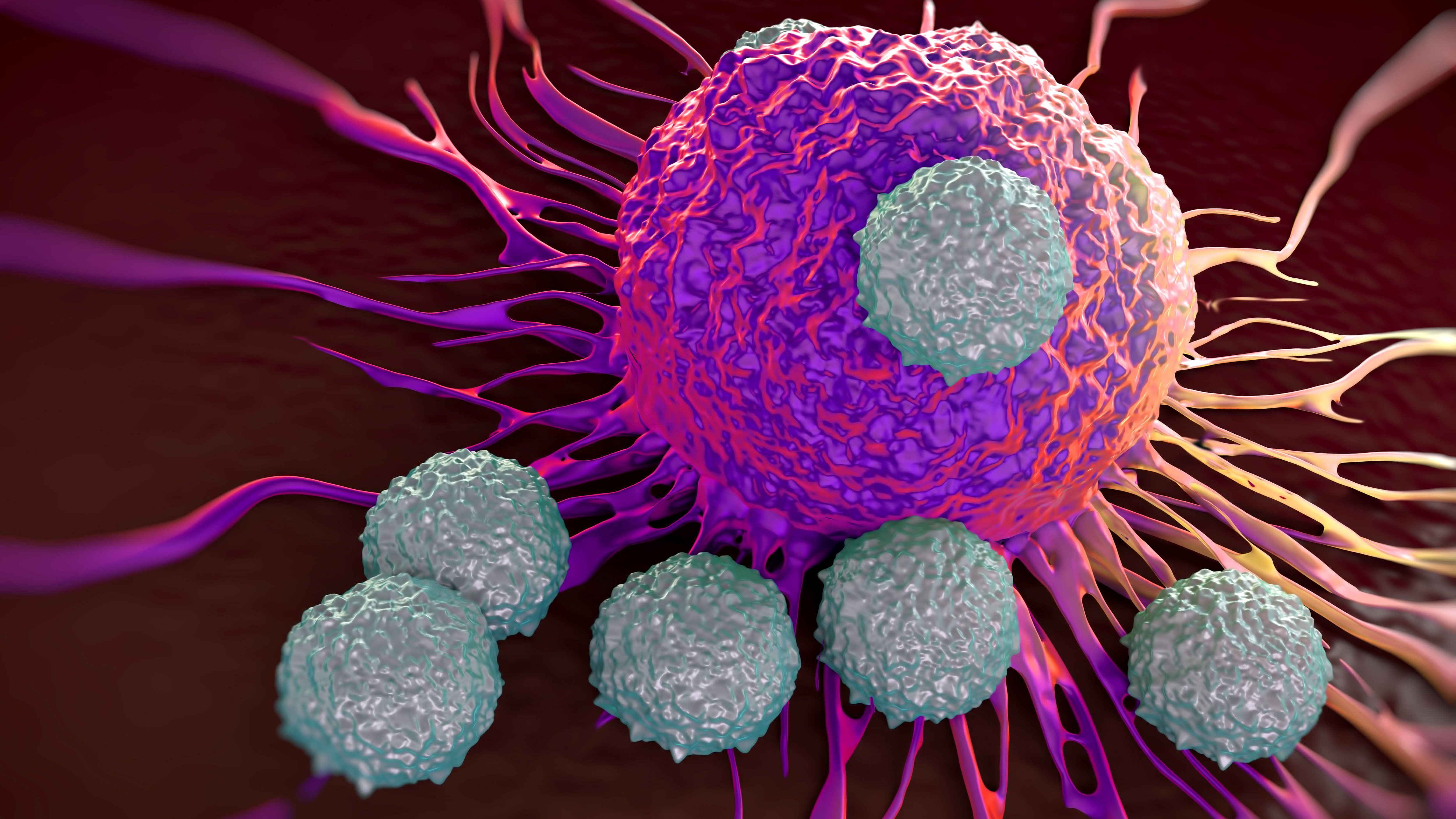 T-cells cancer cell attacking fight