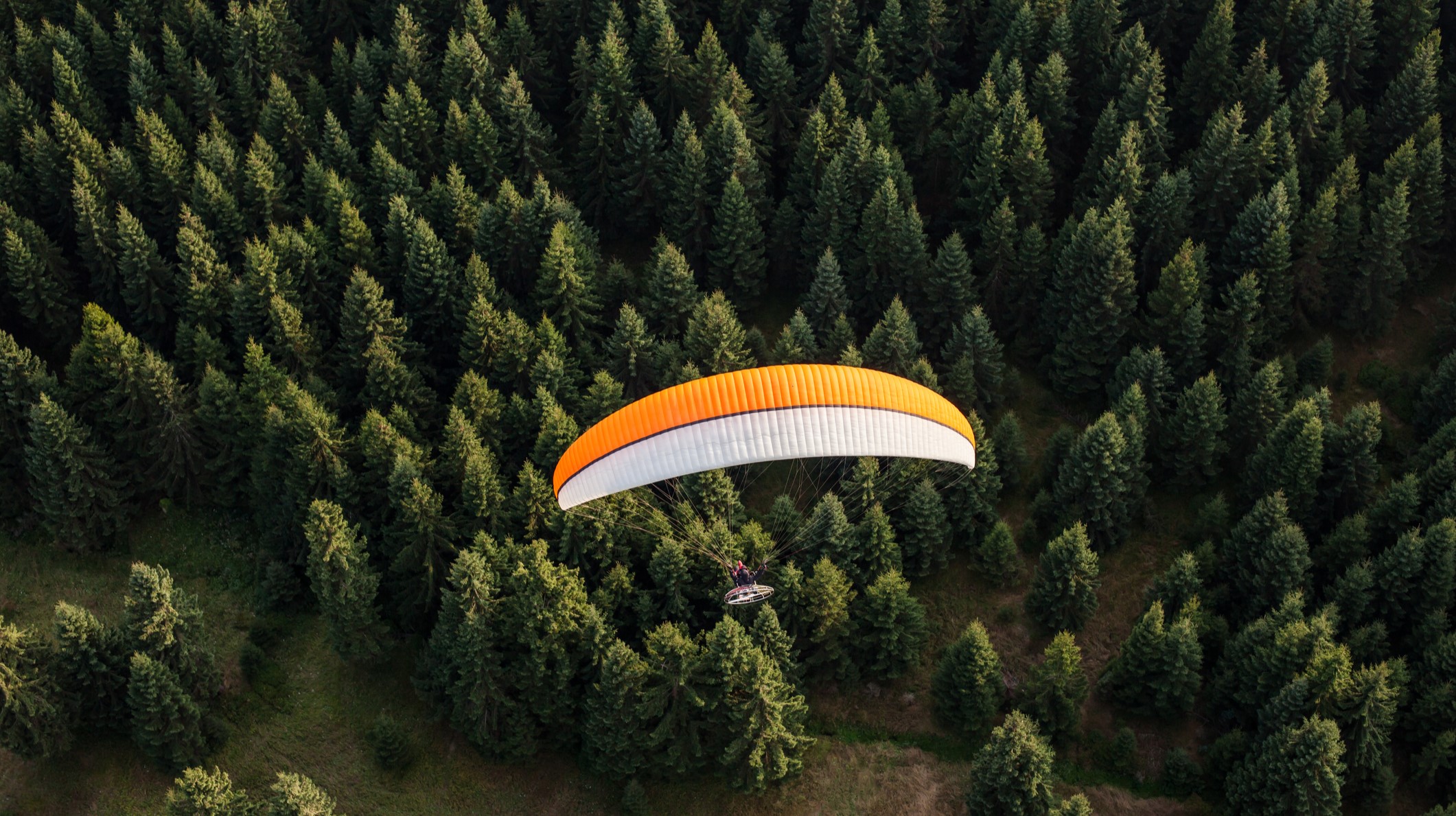 paramotor forest Poland
