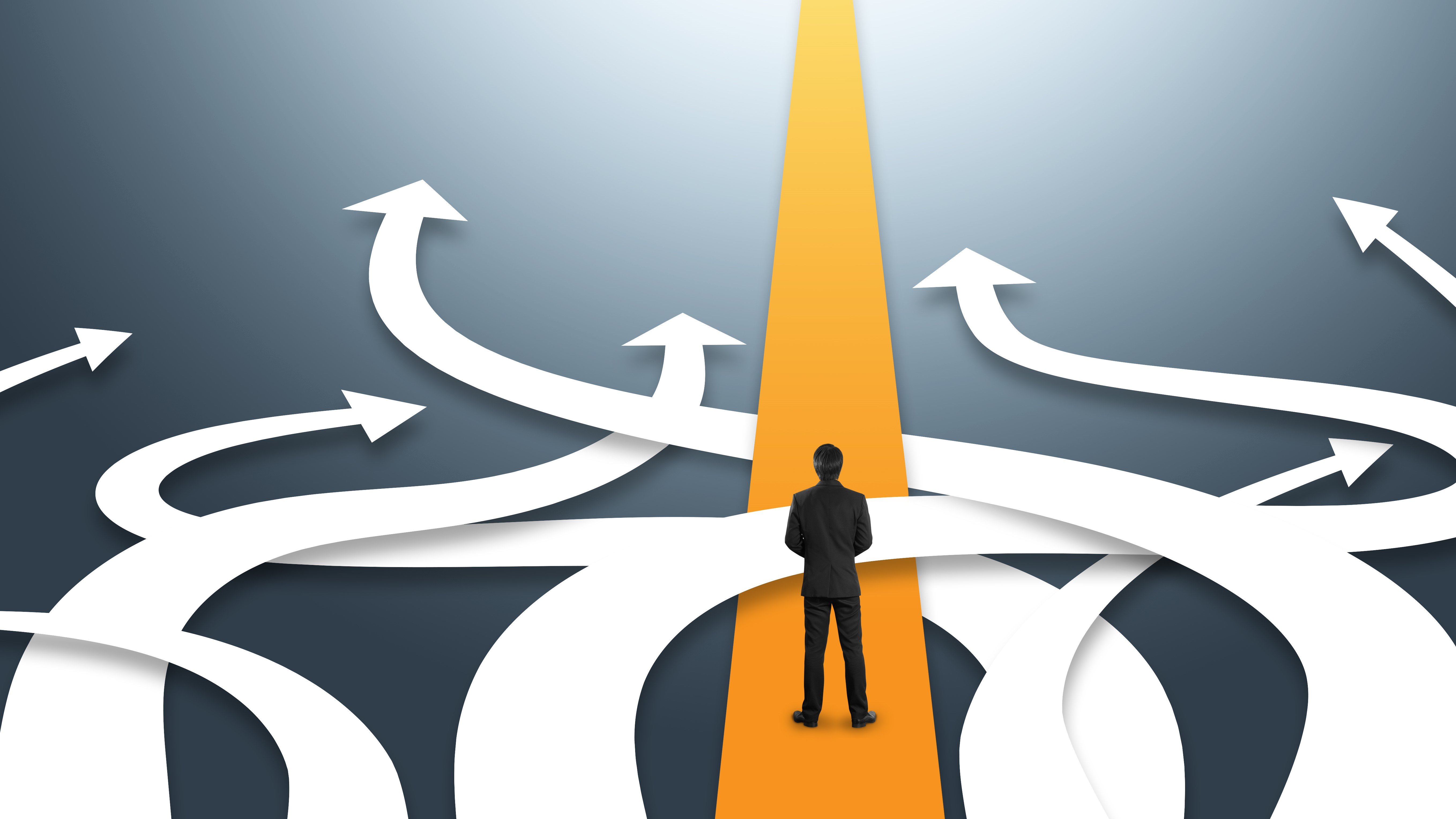 decision path change of plans arrows business decision