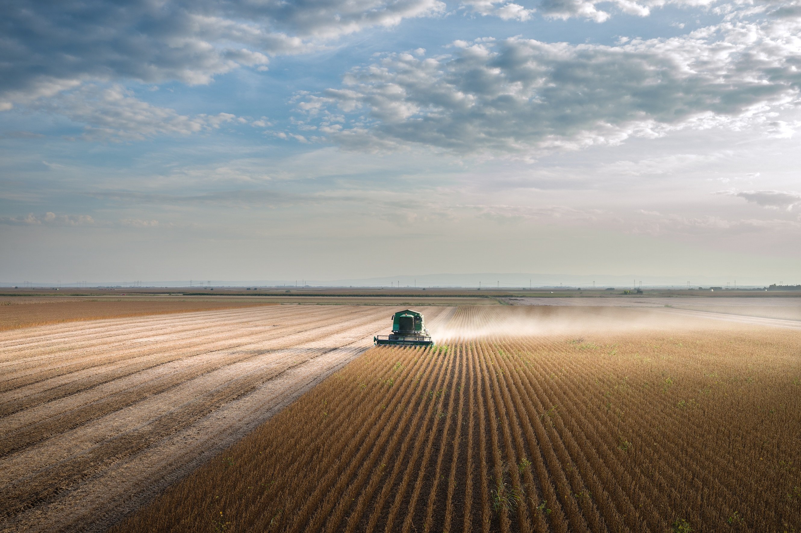 field plow tractor wheat farm dust row plant grow