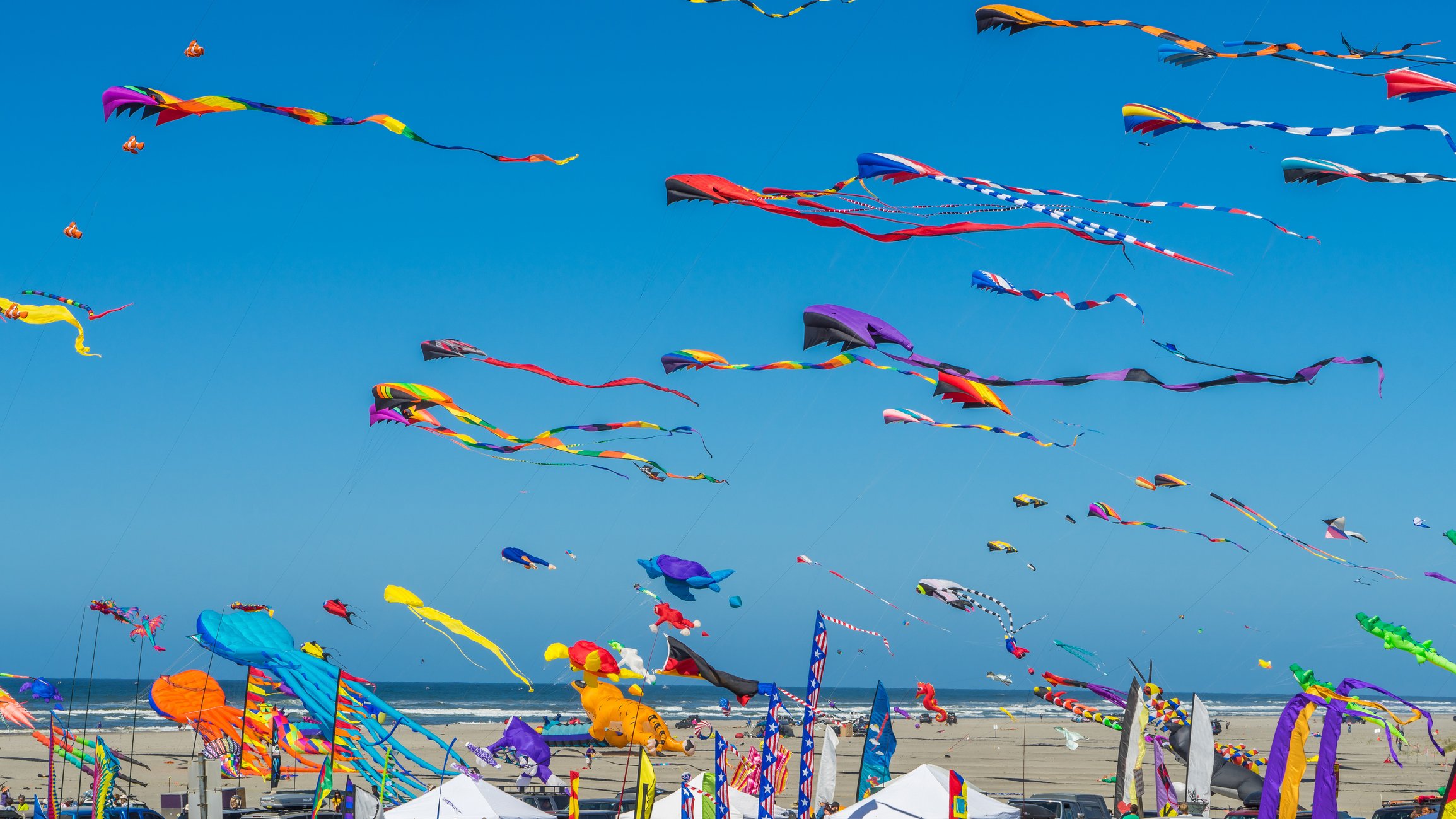 photo of dozens of kites flying on the beach