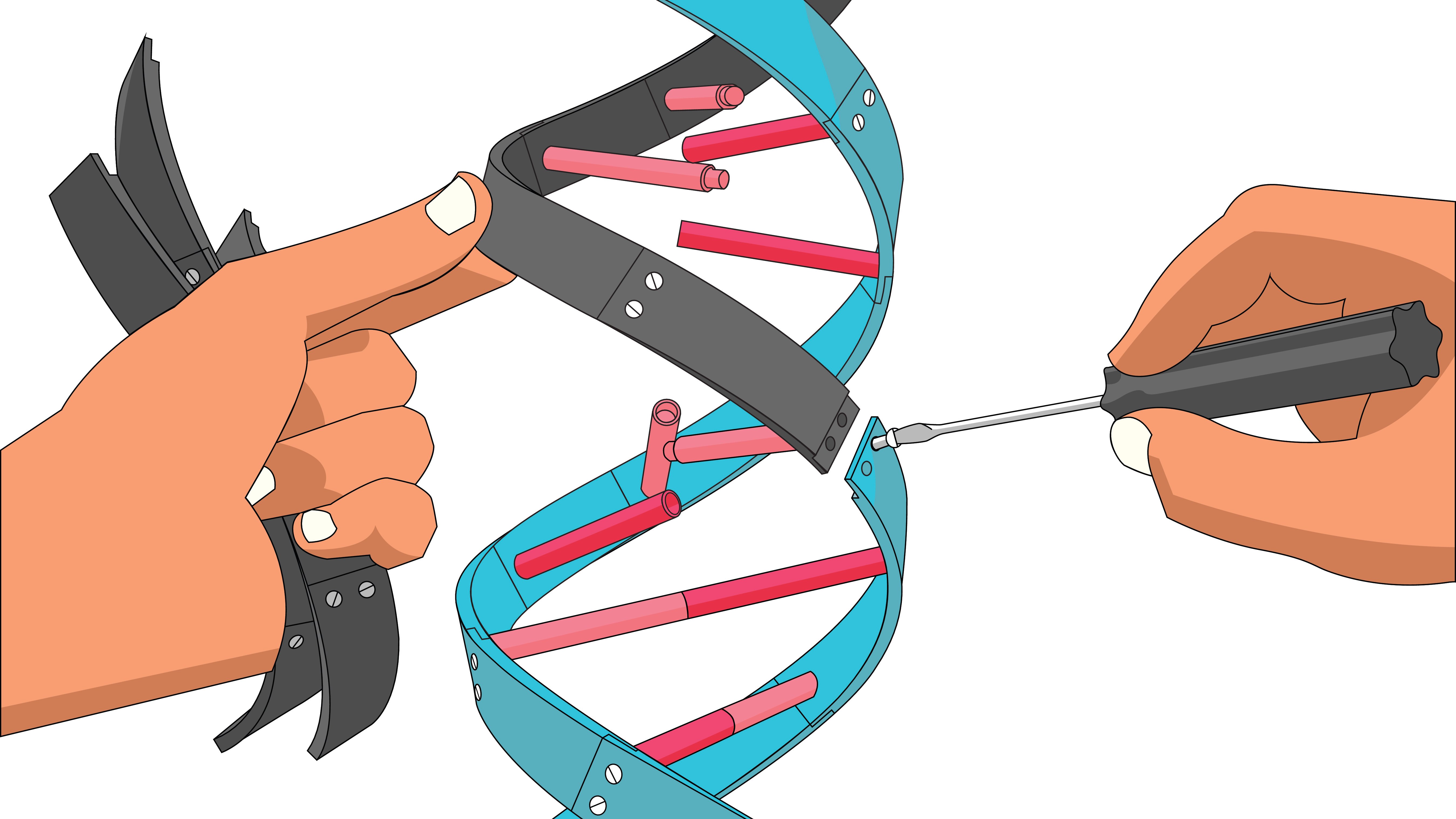 gene therapy DNA CRISPR repair