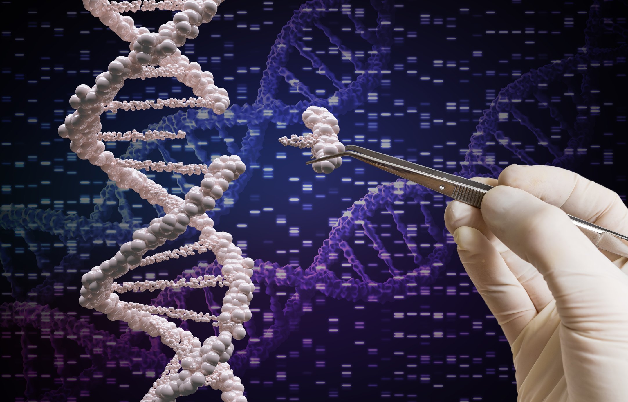 Graphic image of someone plucking out a portion of DNA with tweezers symbolizing gene editors