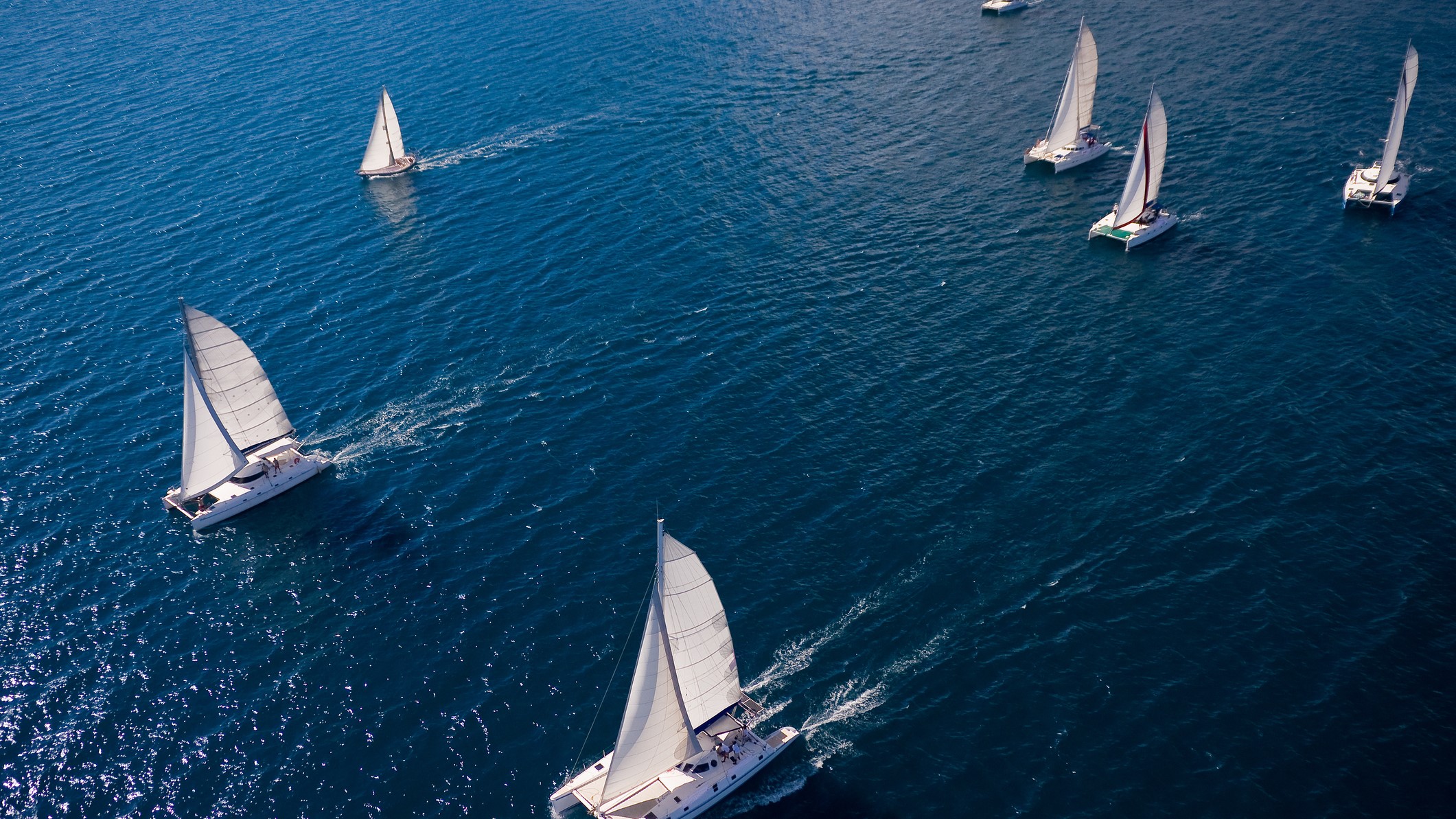 Photo of five sailboats setting out in the same direction over dark blue water