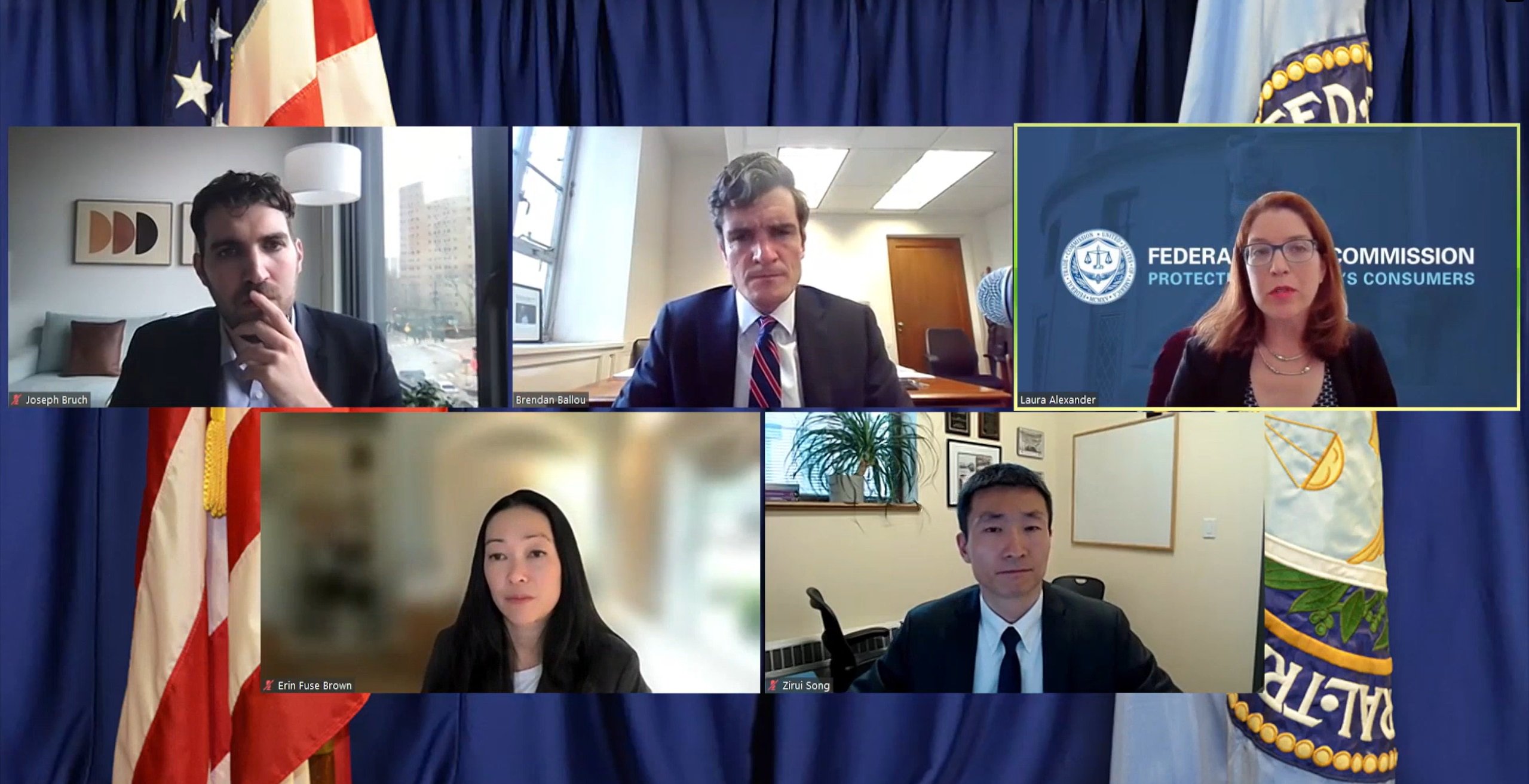 A panel of researchers participates in a QA during the FTCs virtual workshop of private equity in healthcare