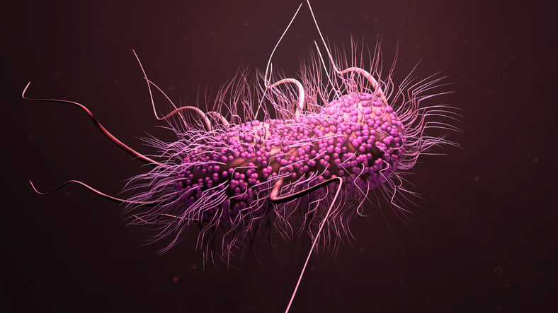 An artists depiction of E coli one of the many bacteria that is becoming resistant to first-line antibiotics The bacteria