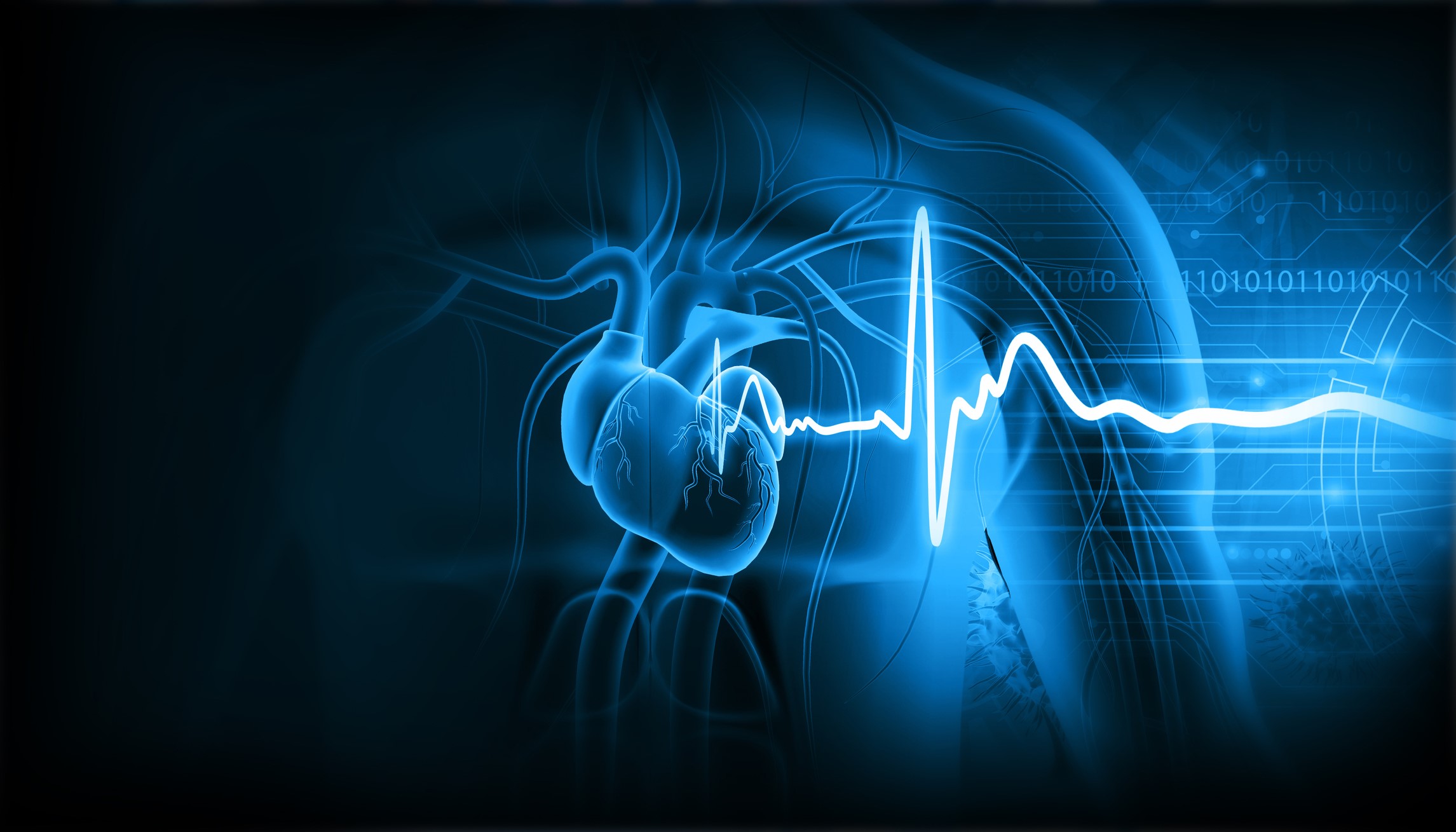 Human heart with ecg graph - stock photo Rasi BhadramaniGetty Images