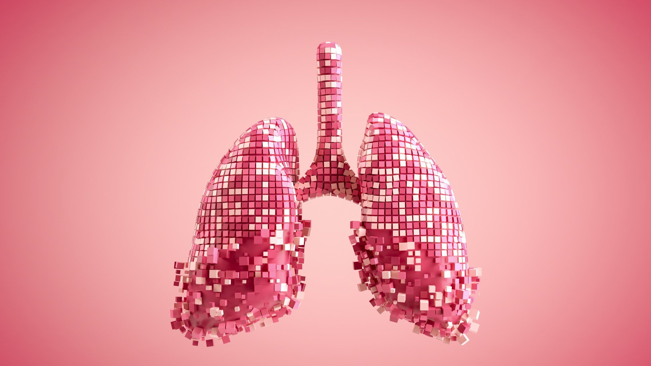 Lung