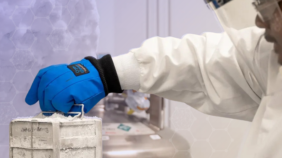 Investigational Rosnilimab Emerges as a Novel Differentiated Treatment Option for Rheumatoid Arthritis