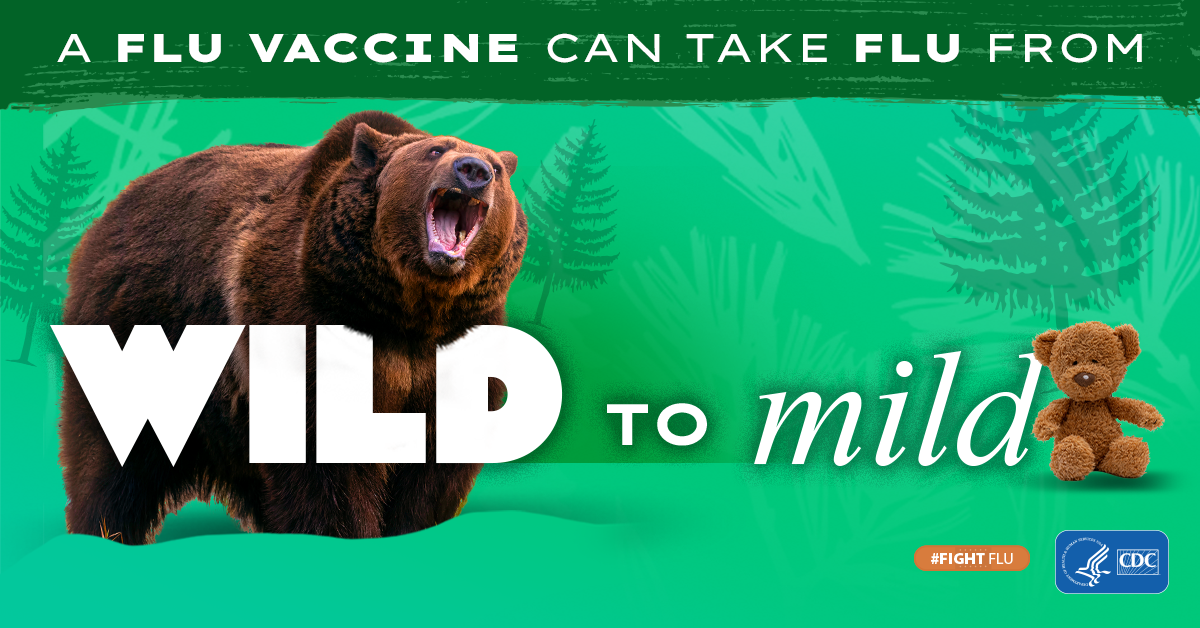 A CDC graphic showing a Wild bear and Mild teddy