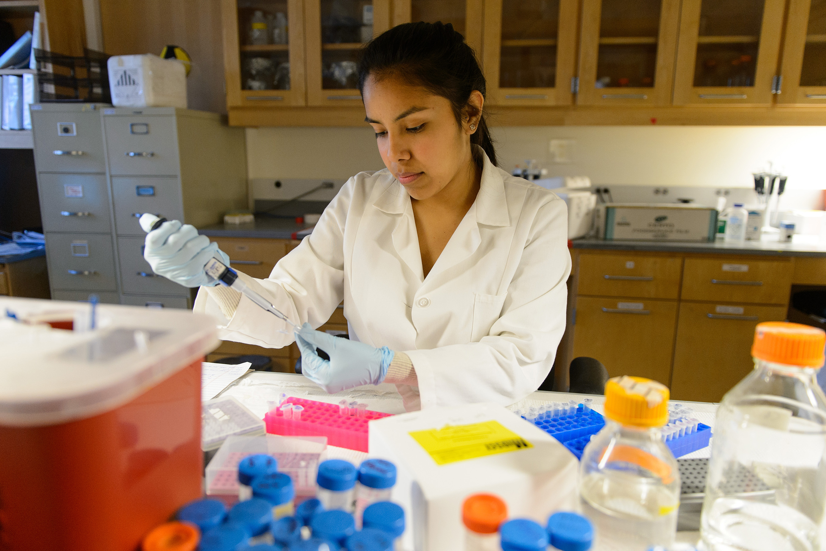 The Amgen Scholars Program provides undergraduates with hands-on summer research opportunities at many of the world's premier educational institutions.