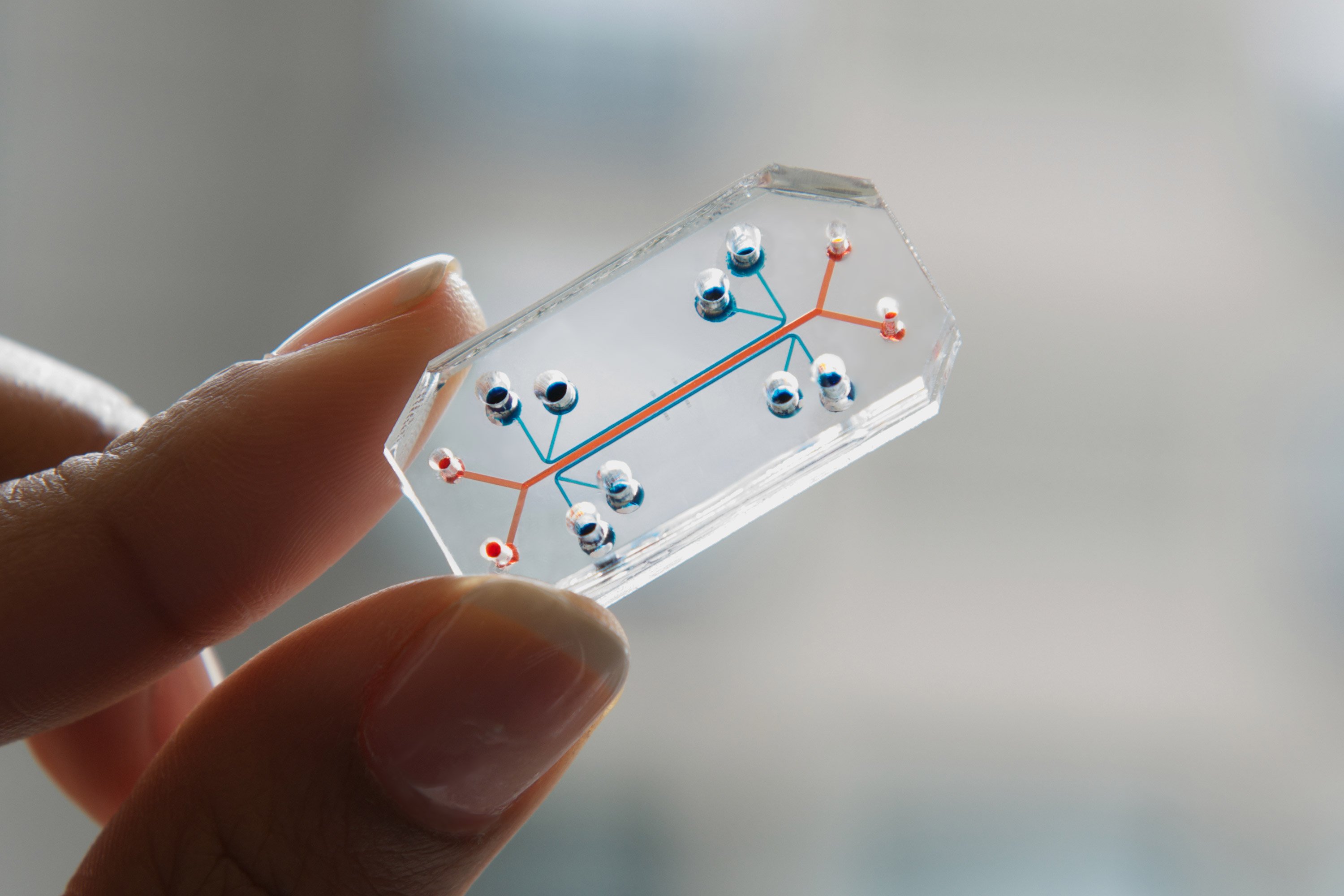 Emulates lung-on-a-chip