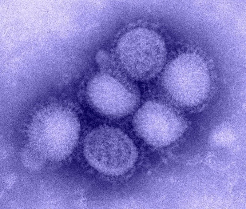 purple flu virus 