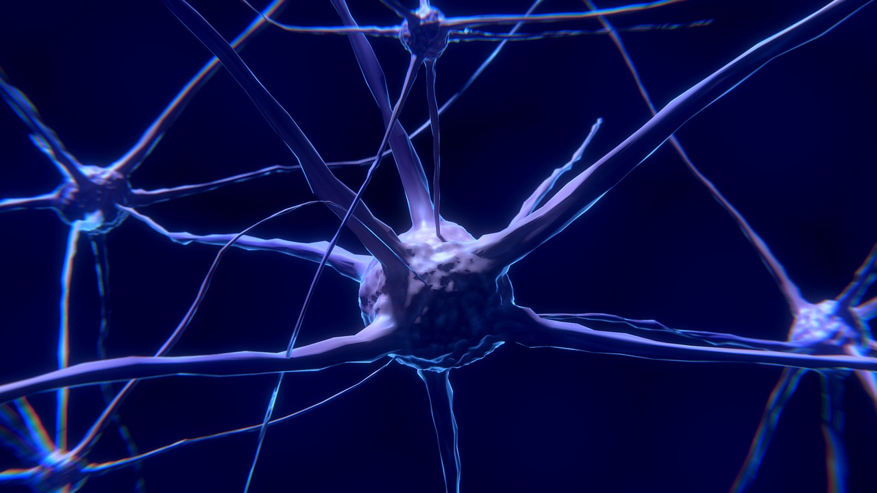 blue illustration of neurons