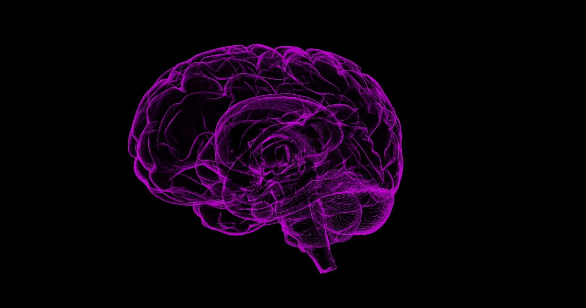purple brain