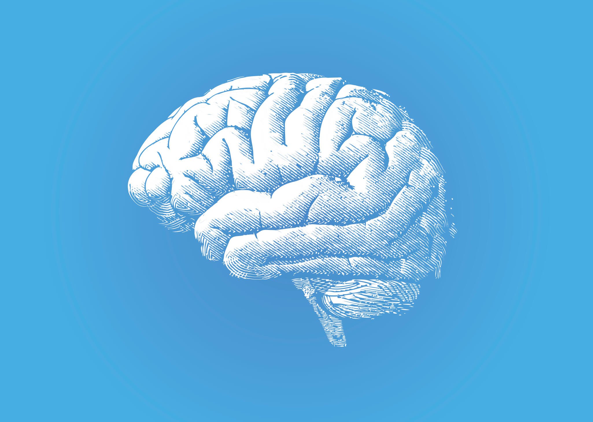 Drawing of a brain on a blue background