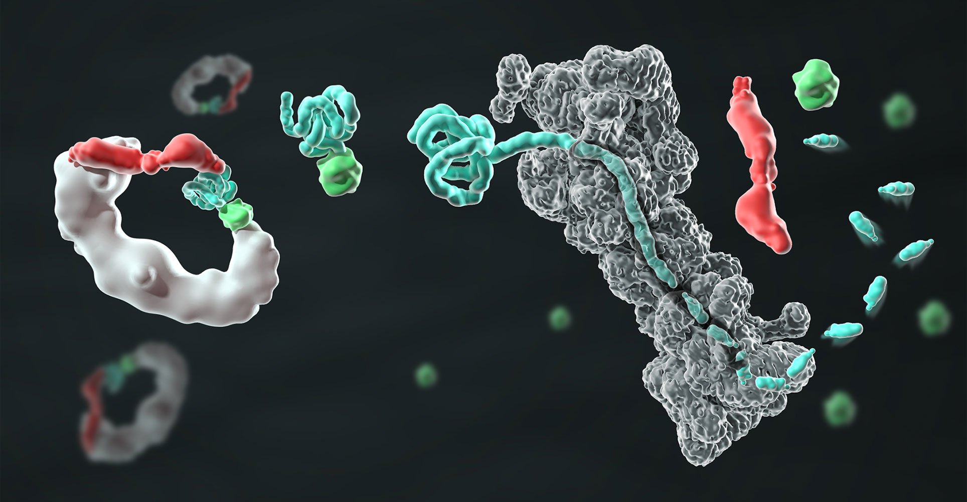 illustration of protein degradation