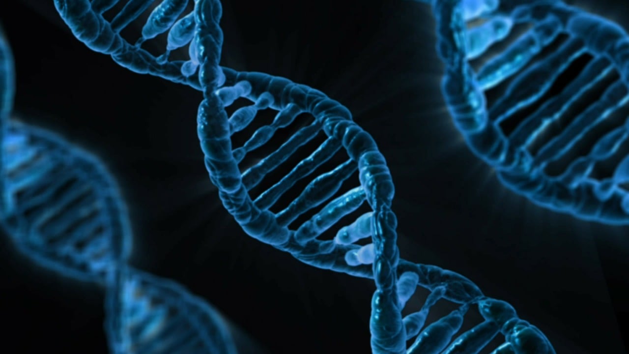 DNA genomics precision medicine