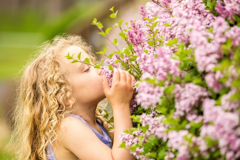 Nose smell flower child