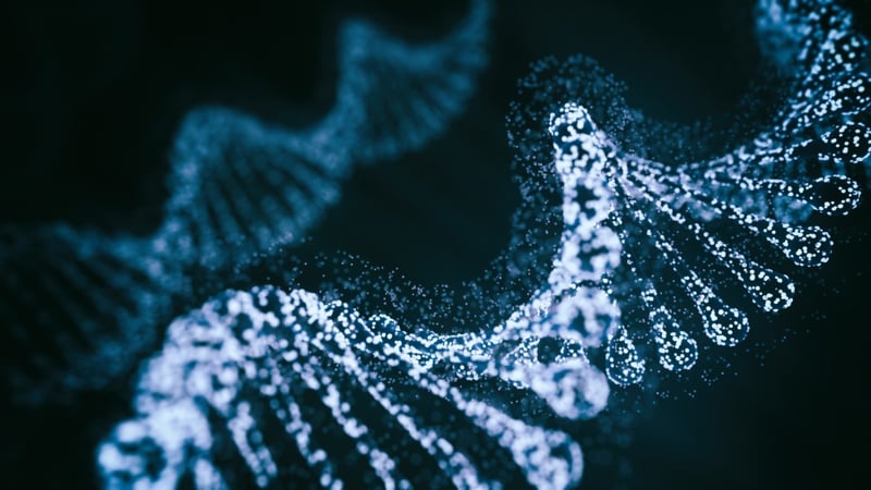 DNA strand genome